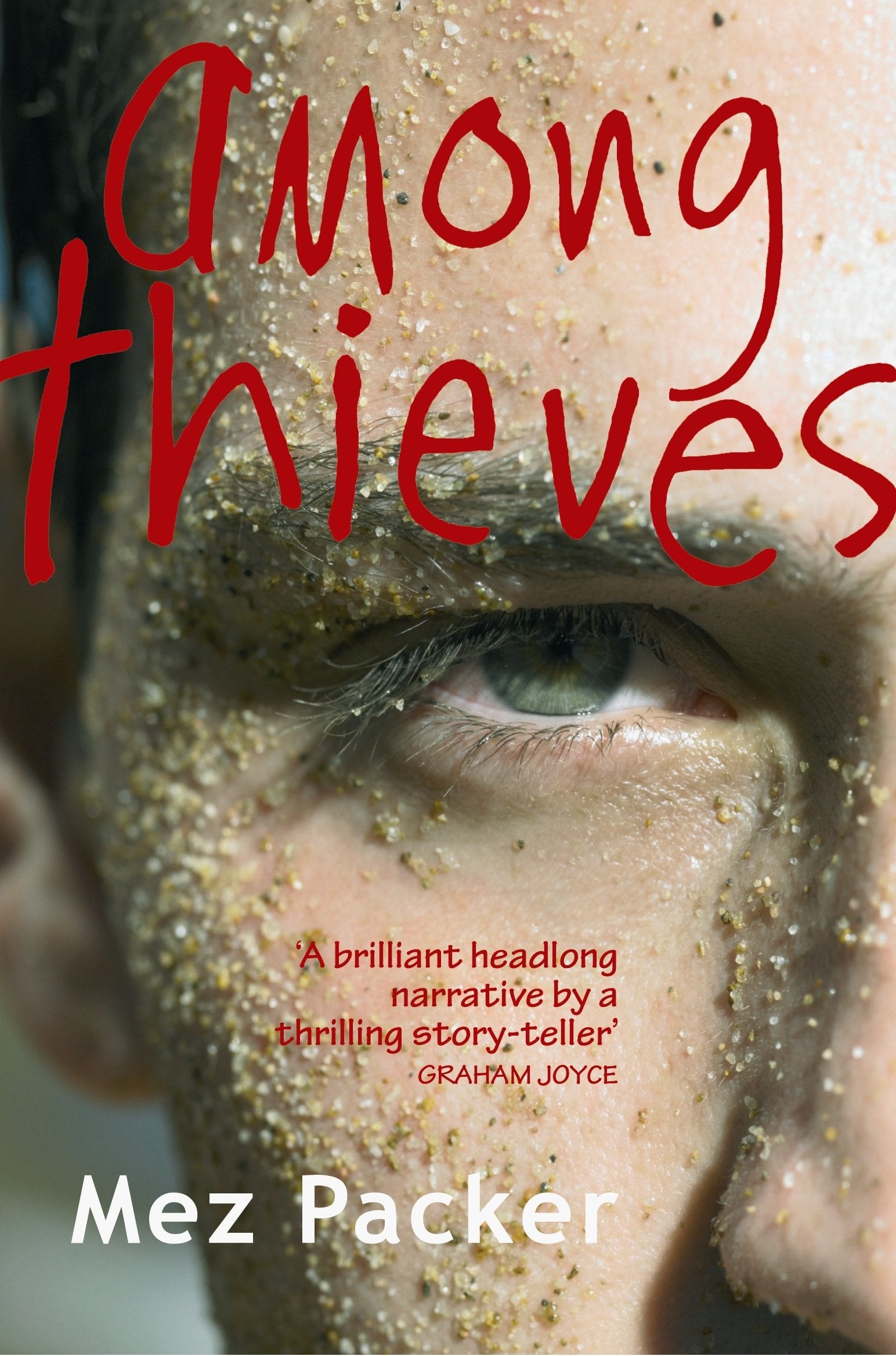 AMONG THIEVES Contemporary literature