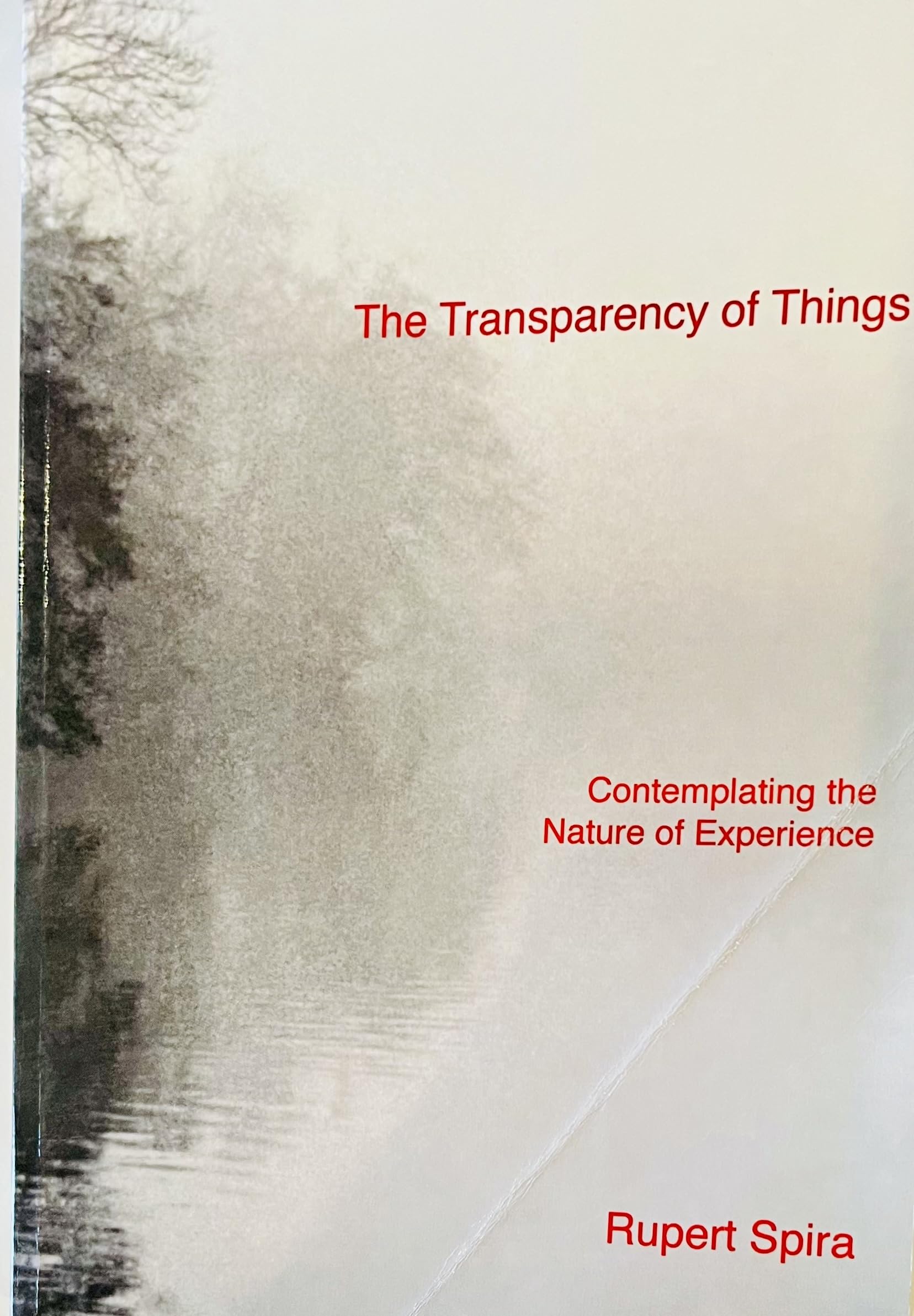 The Transparency of Things: Contemplating the Nature of Experience Philosophy