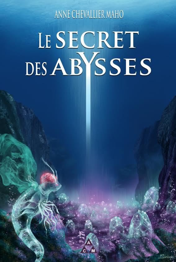 Le secret des abysses book