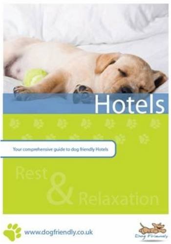 Dog Friendly Hotels: Your Comprehensive Guide to Dog Friendly Hotels Pets