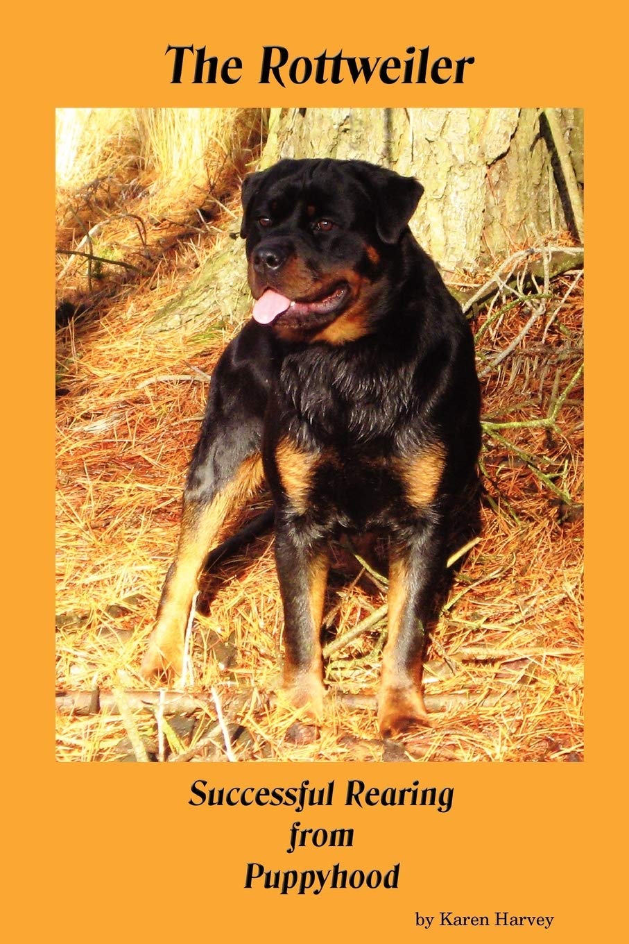 The Rottweiler Successful Rearing from Puppyhood Pets