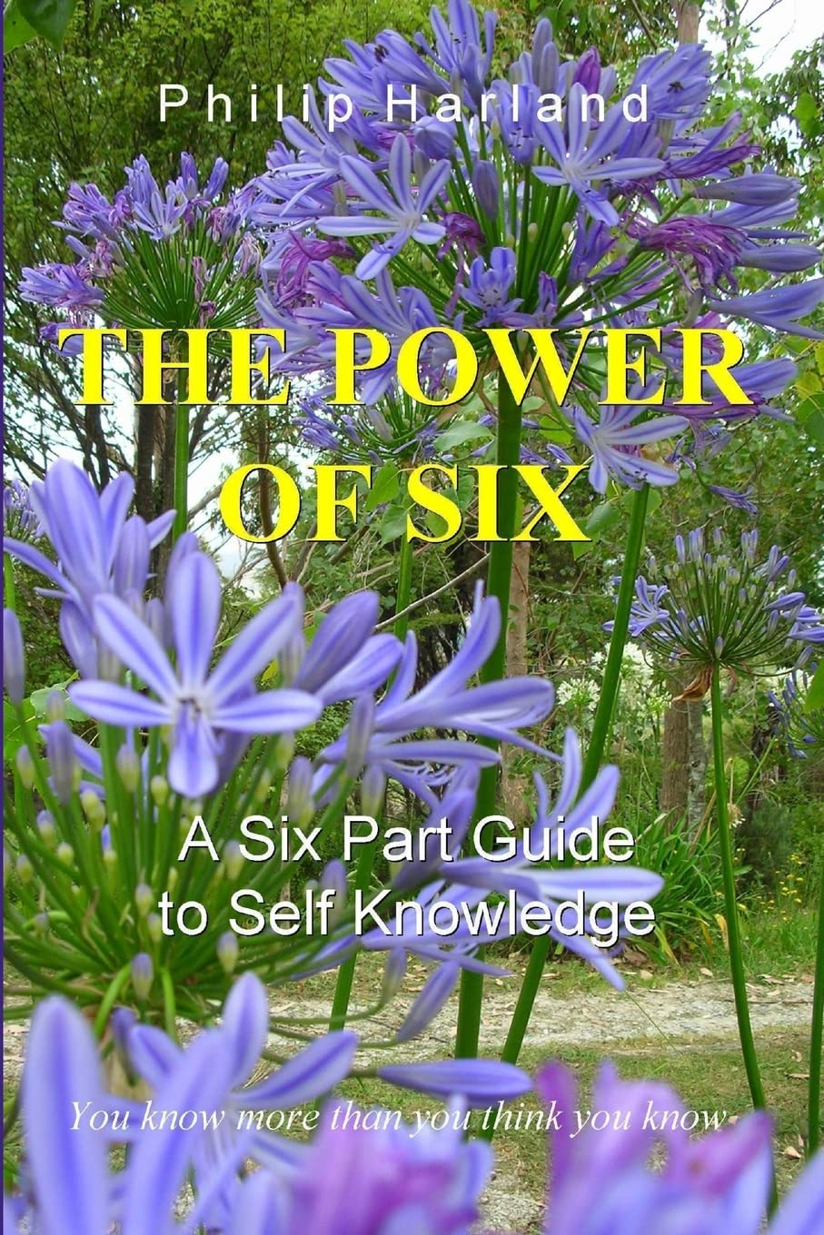 THE POWER OF SIX  A Six Part Guide to Self Knowledge book
