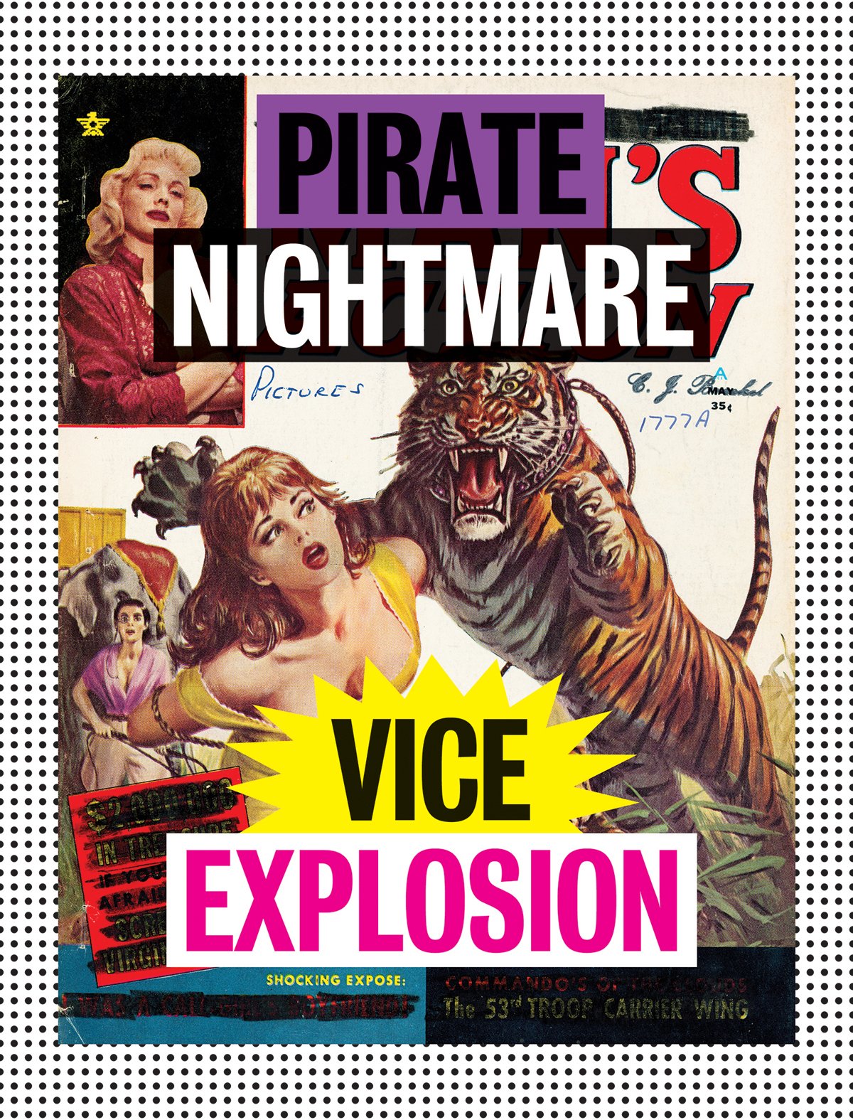 Pirate Nightmare Vice Explosion: Inherited Remnants of an Amateur Dadaist's Library book