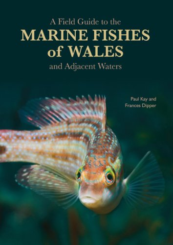 A Field Guide to the Marine Fishes of Wales and Adjacent Waters Mathematics