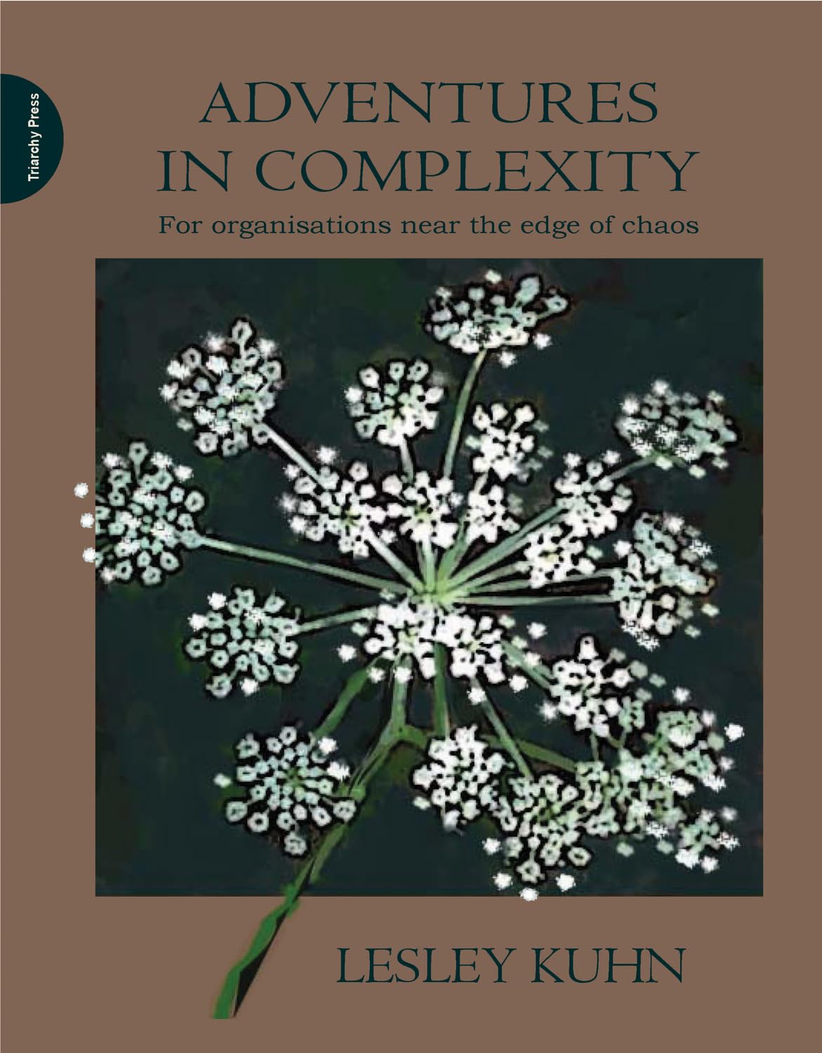Adventures in Complexity. For organisations near the edge of chaos. book