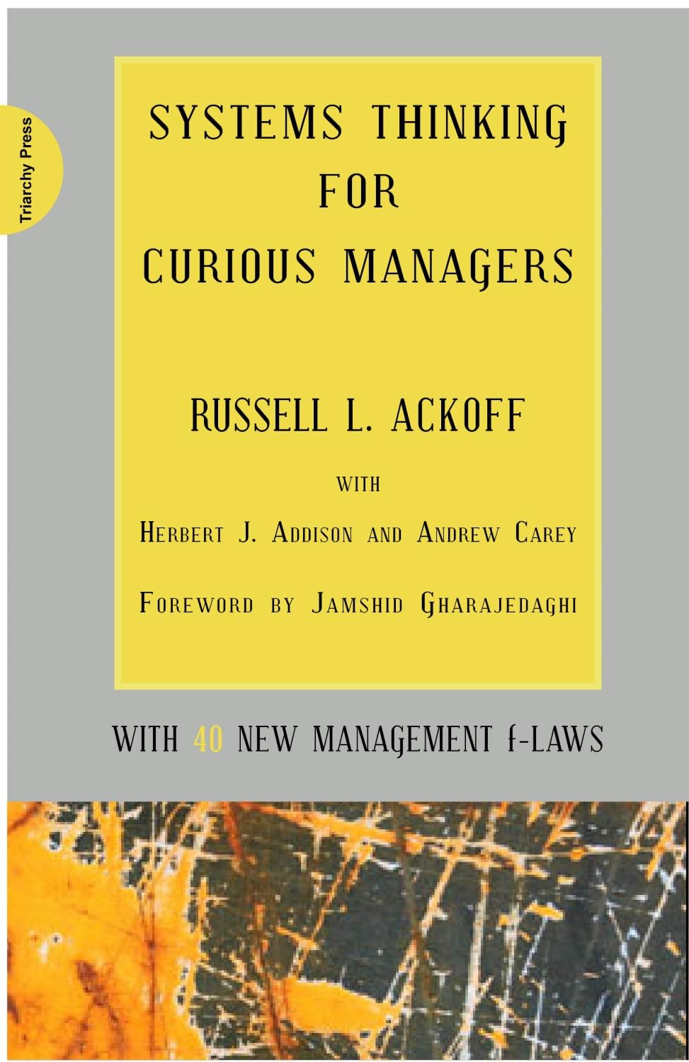 Systems Thinking for Curious Managers: With 40 New Management F-Laws book