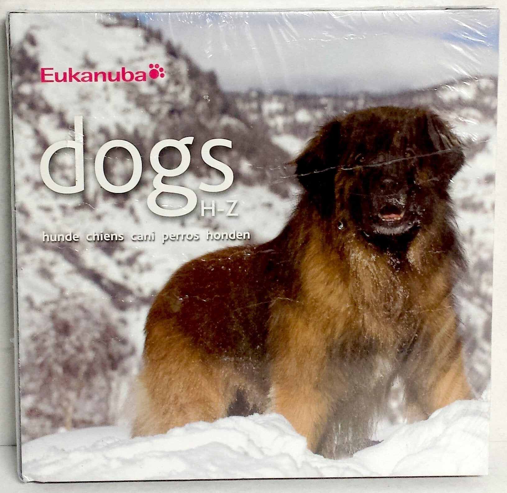 Dogs : = hunde, chiens, cani, perros, honden Pets