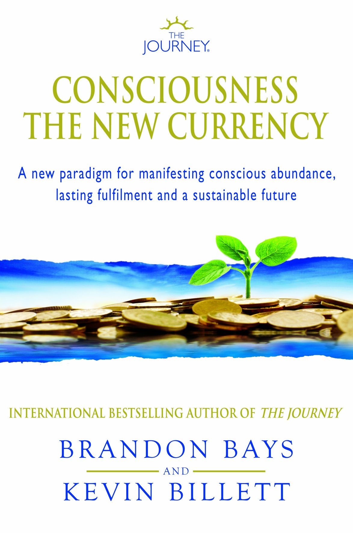 The Journey - Consciousness the New Currency: A New Paradigm for Manifesting Conscious Abundance, Lasting Fulfilment and a Sustainable Future Self-help
