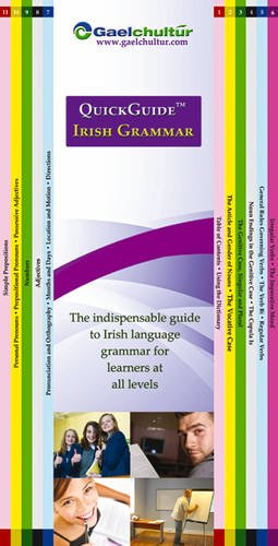 Quickguide Irish Grammar: The Indispensable Guide to Irish Language Grammar for Learners at All Levels book