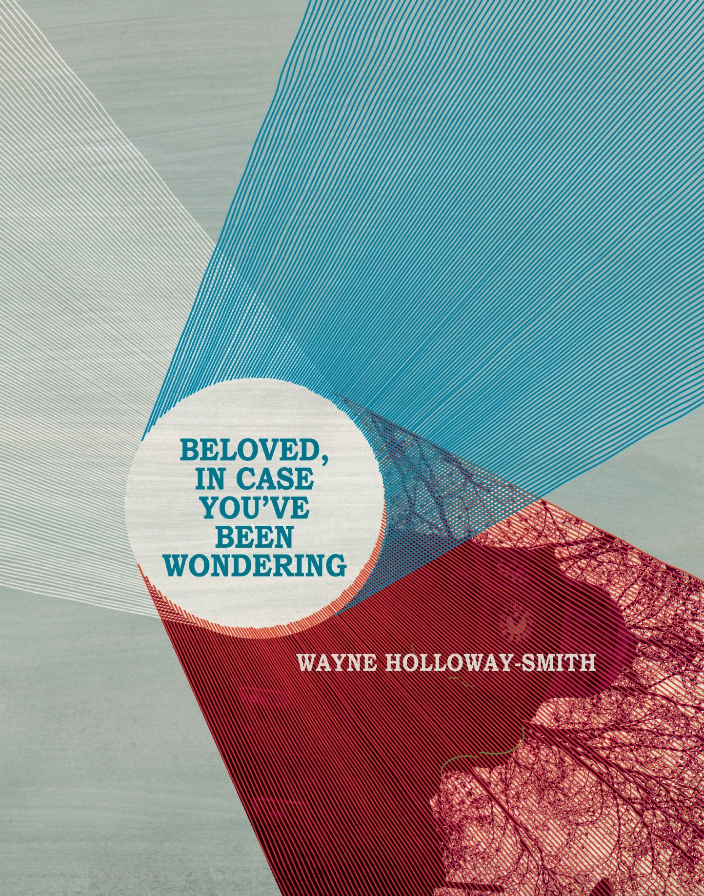 Beloved, in Case You've Been Wondering book