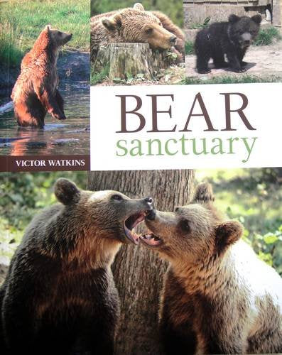 Bear Sanctuary Mathematics