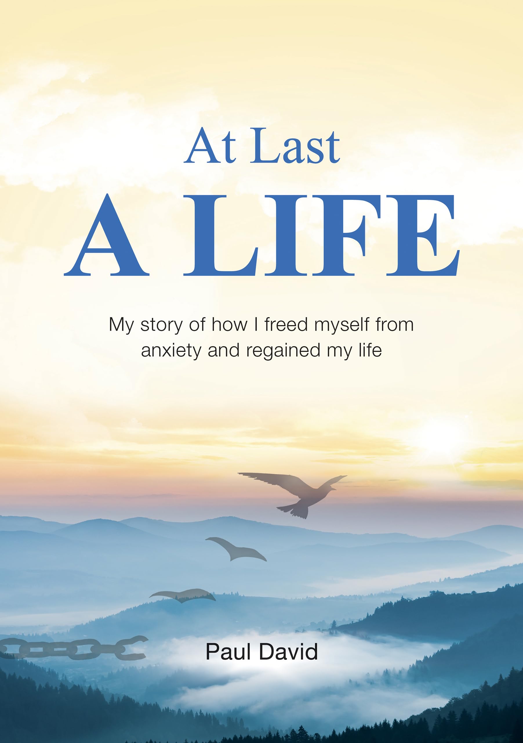 Product Image: At Last a Life