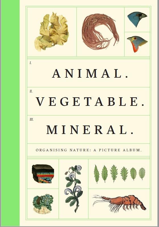 Animal Vegetable Mineral: Organising Nature, A Picture Album Film, Art & Culture
