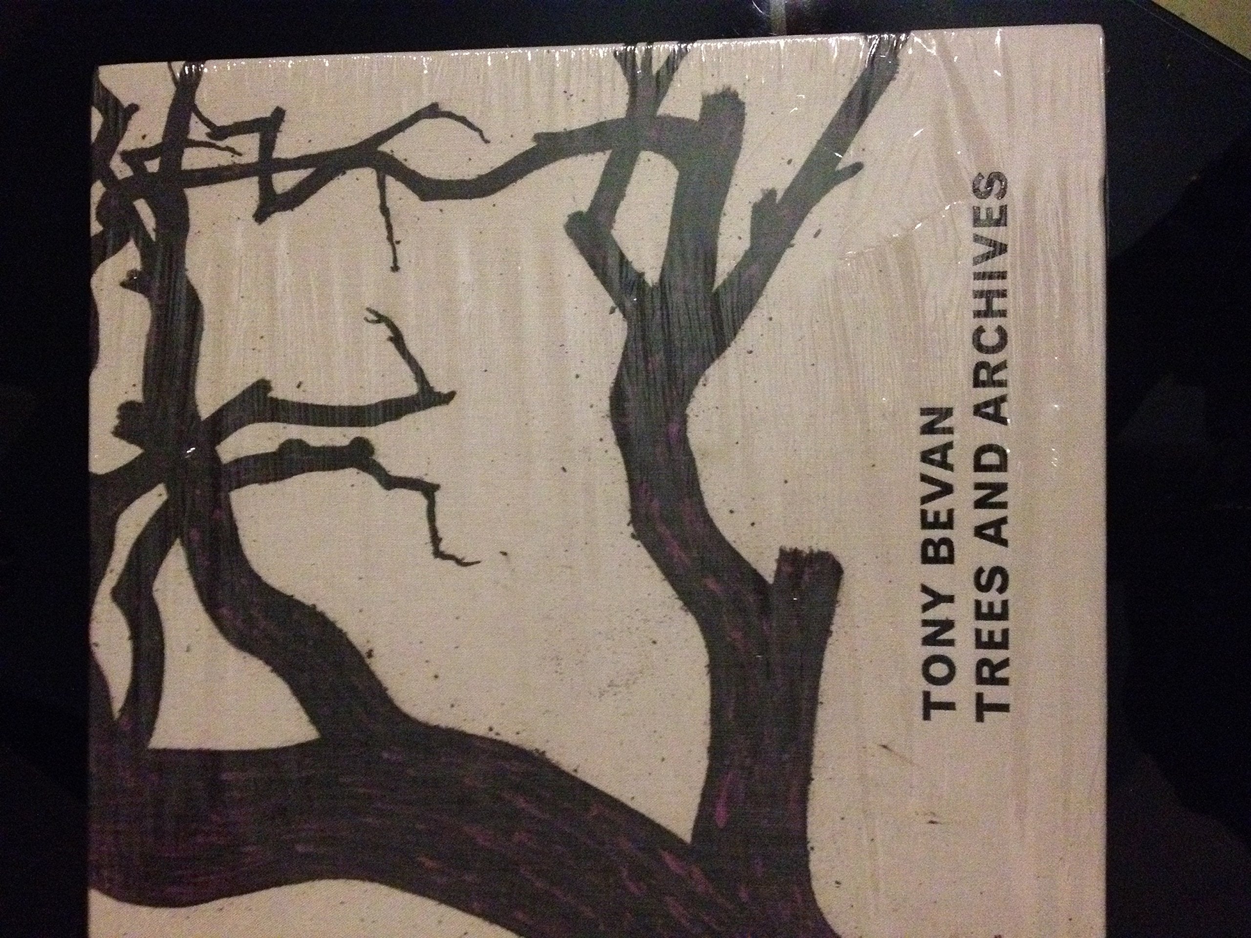 Tony Bevan: Trees and Archives Film, Art & Culture