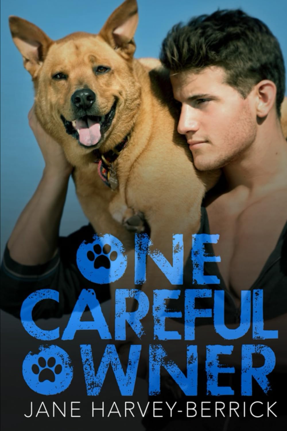 Product Image: One Careful Owner