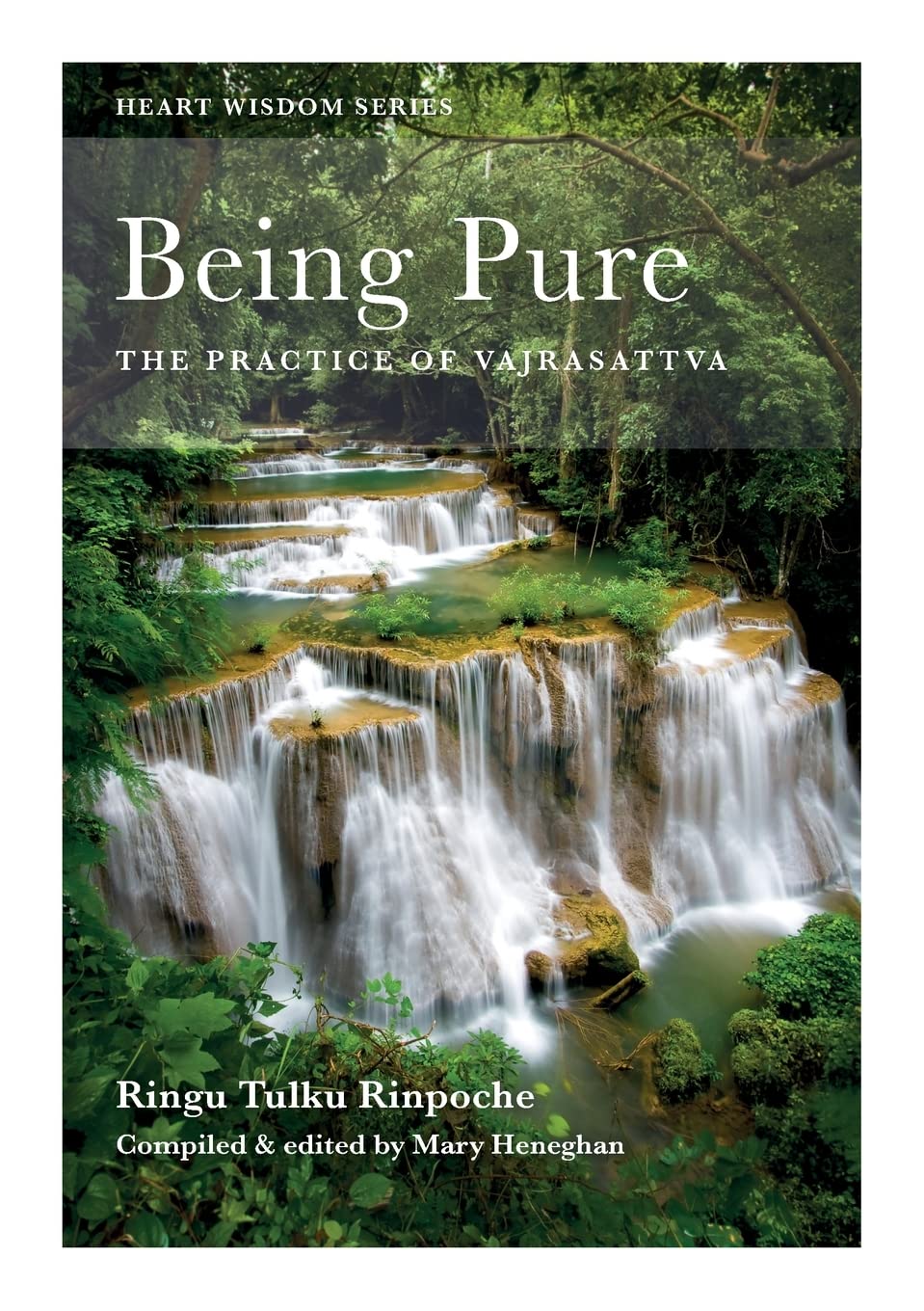 Being Pure: The Practice of Vajrasattva book