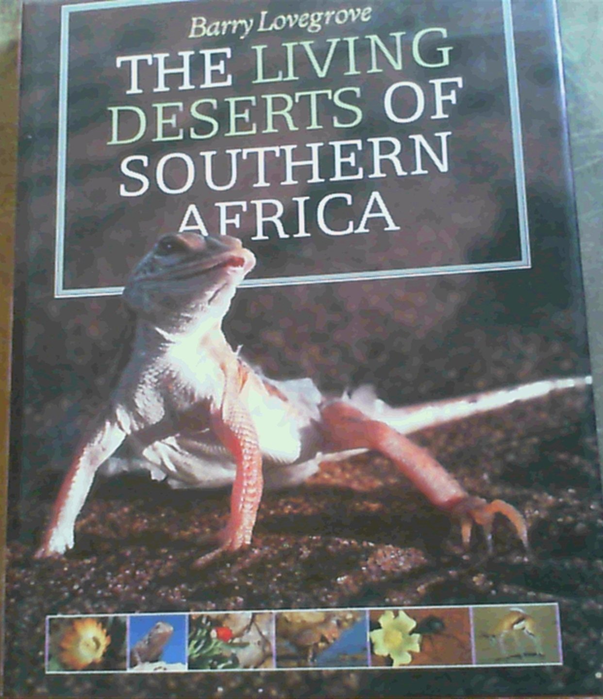 The living deserts of Southern Africa Mathematics
