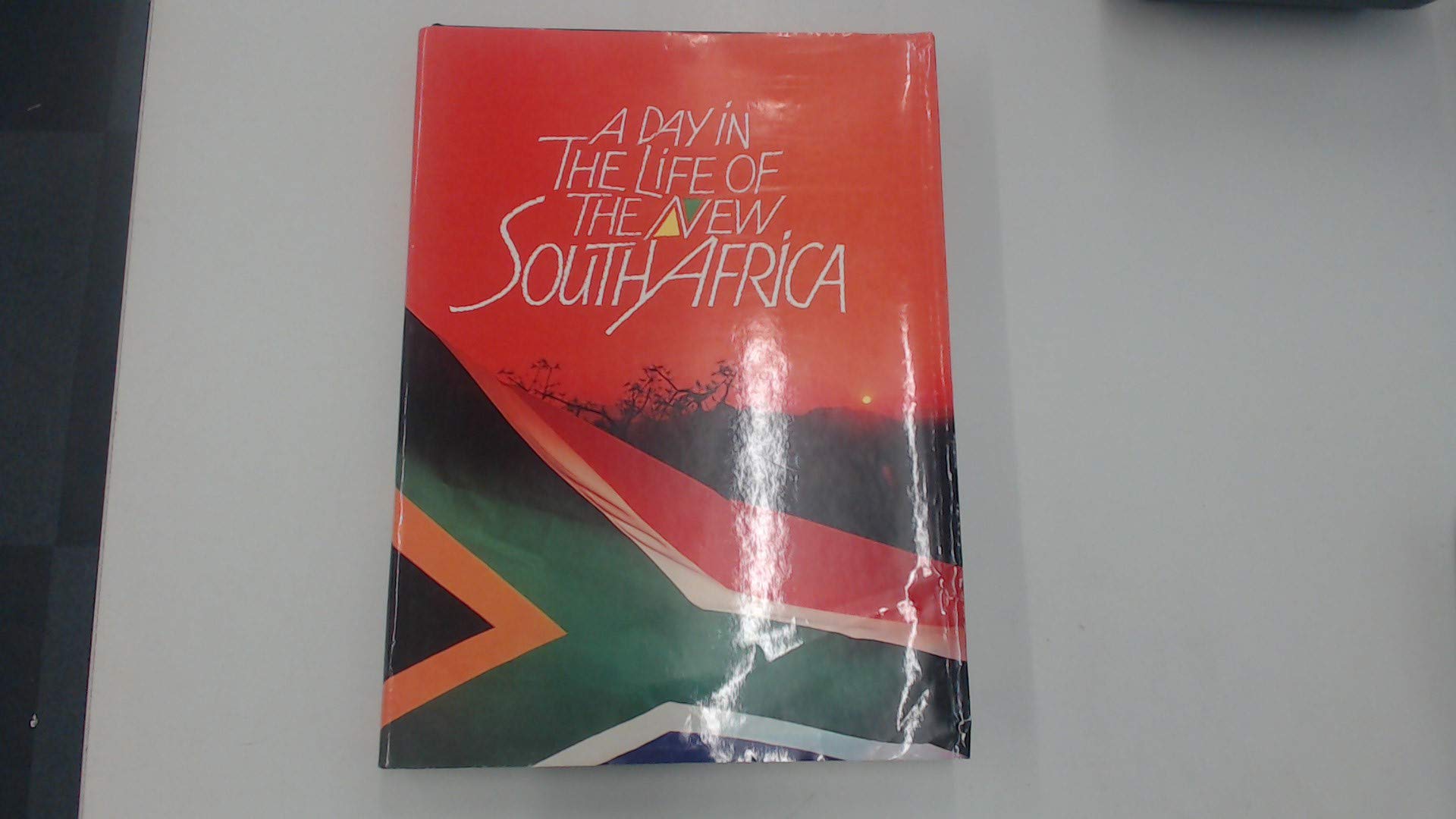 A day in the life of the new South Africa: Bthis book is dedicated to those South Africans who will never see it Books