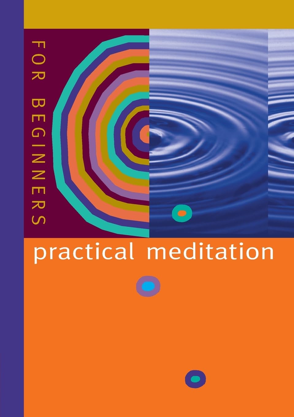Practical Meditation Business, Finance & Career