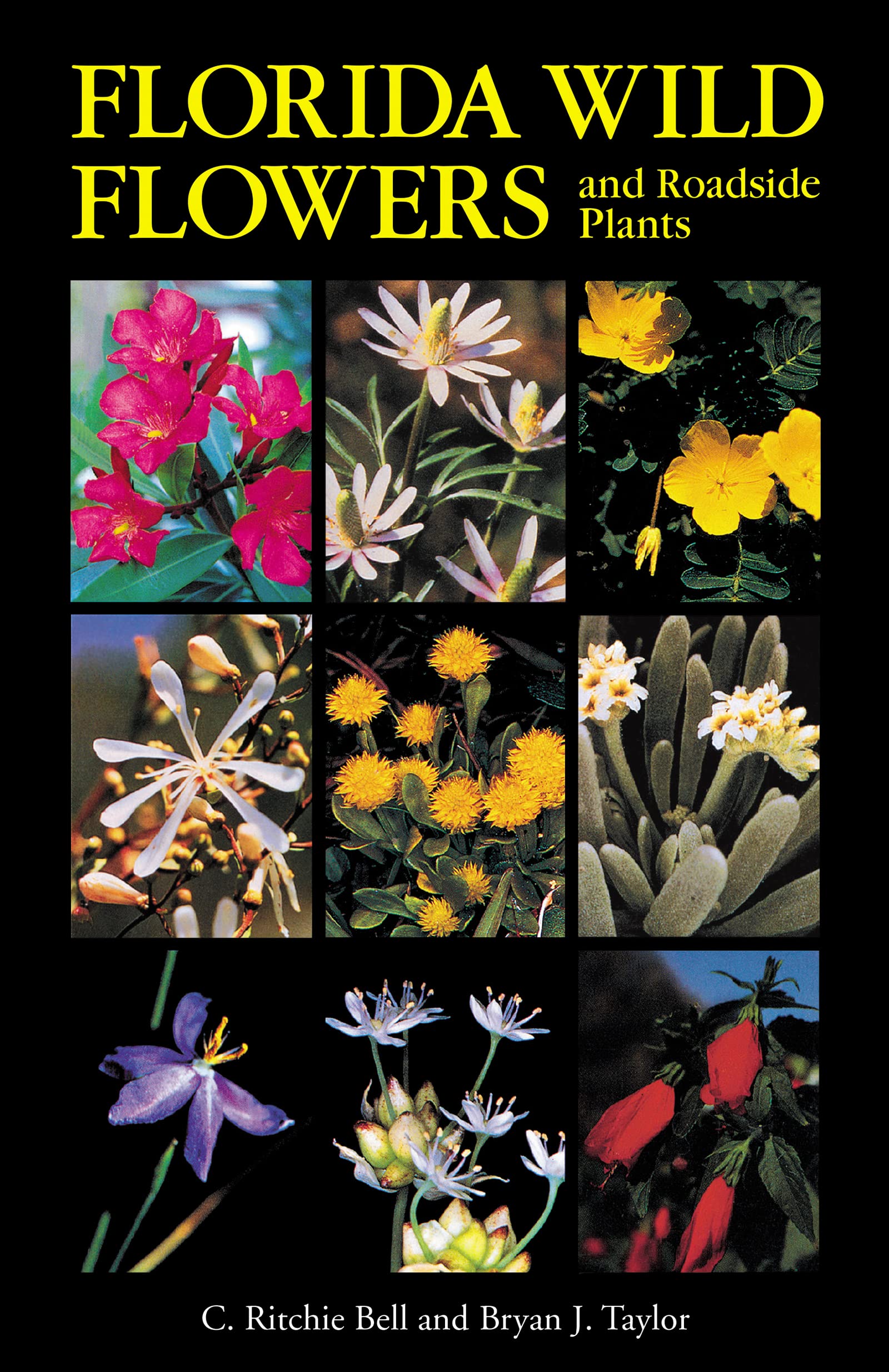 Florida Wild Flowers: And Roadside Plants Mathematics