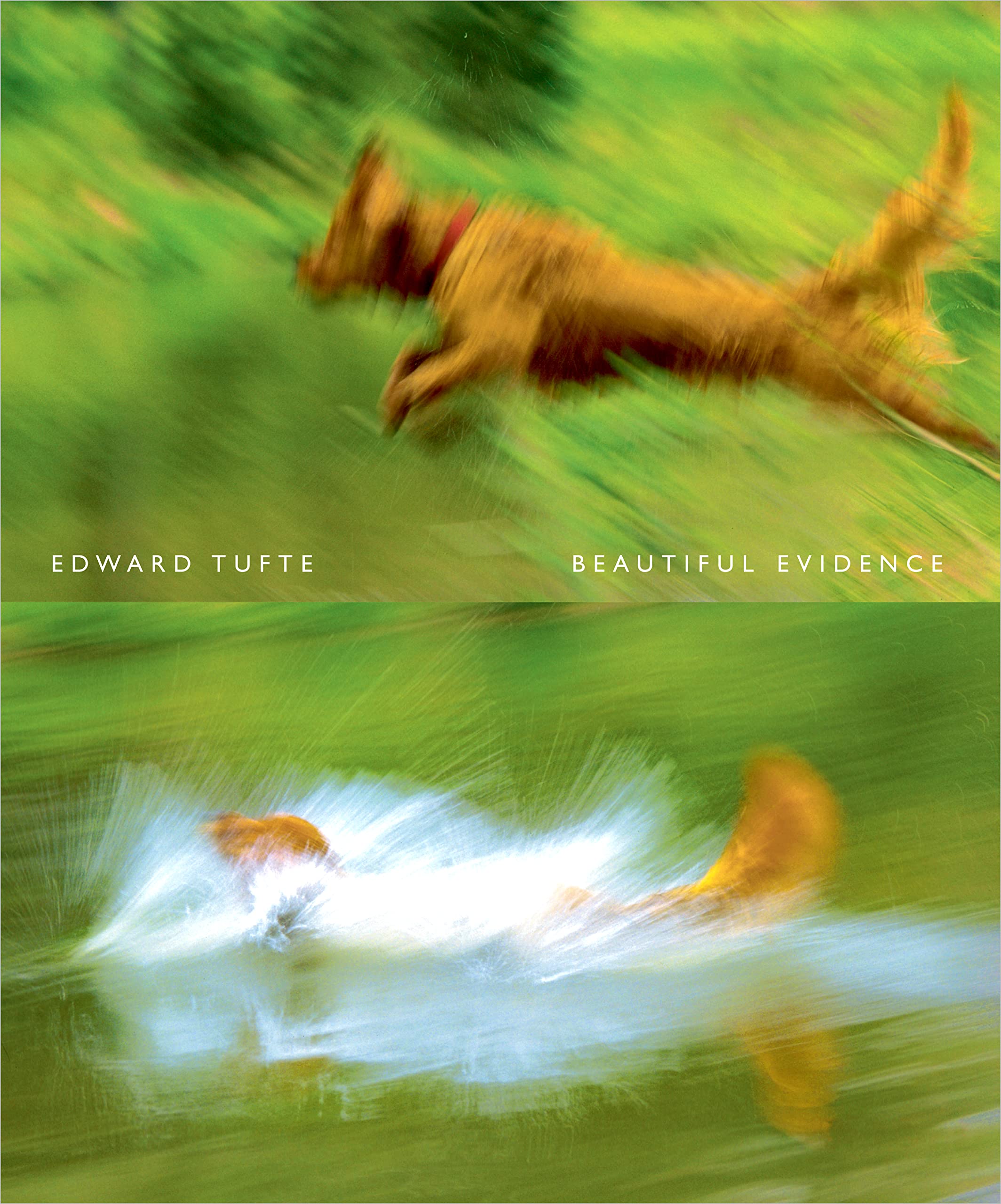 Beautiful Evidence Computer Science