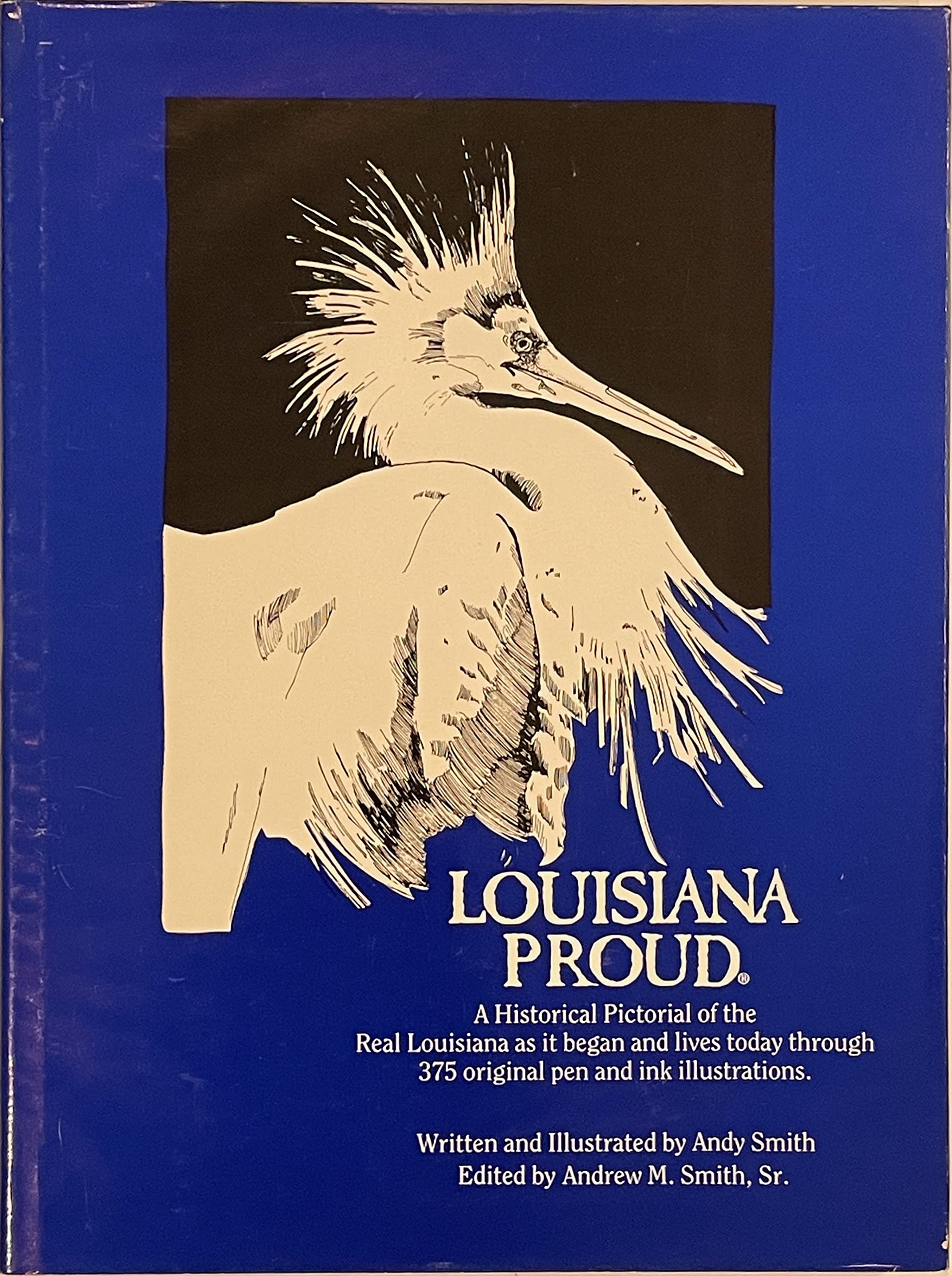 Louisiana Proud: A Historical Pictorial of the Real Louisiana as it Began and Lives Today Through 375 Original Pen & Ink Illustrations, Vol. 1 Books