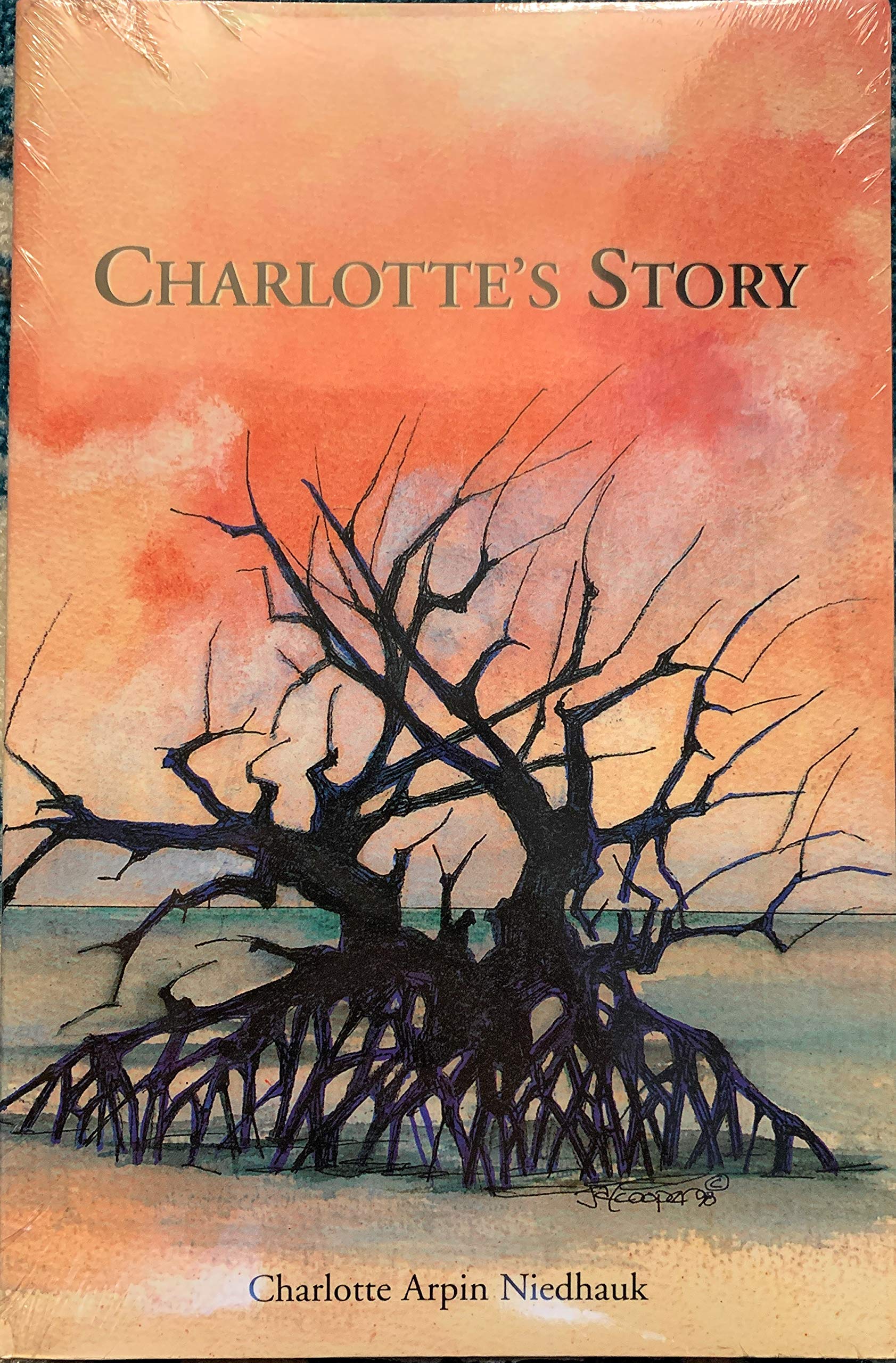 Charlotte's Story: A Florida Keys Diary 1934-A935 Memories