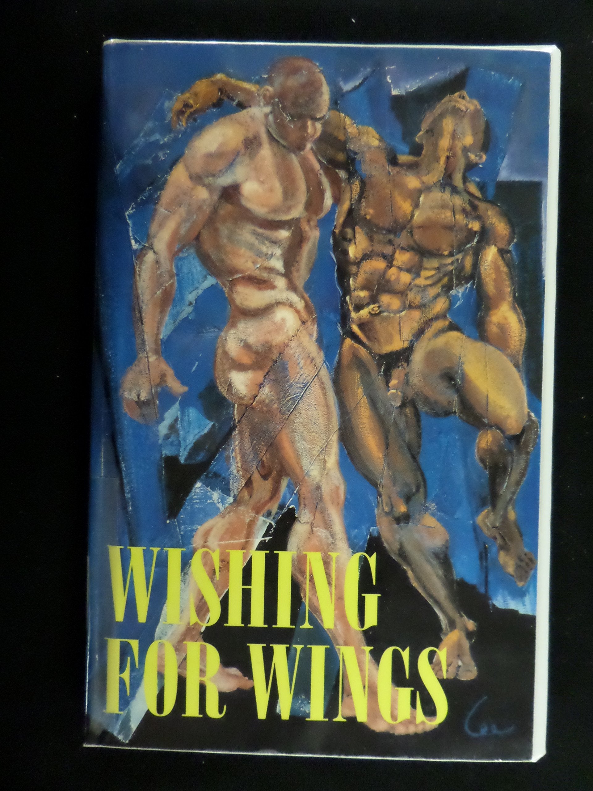 Wishing for Wings: Poems Poetry