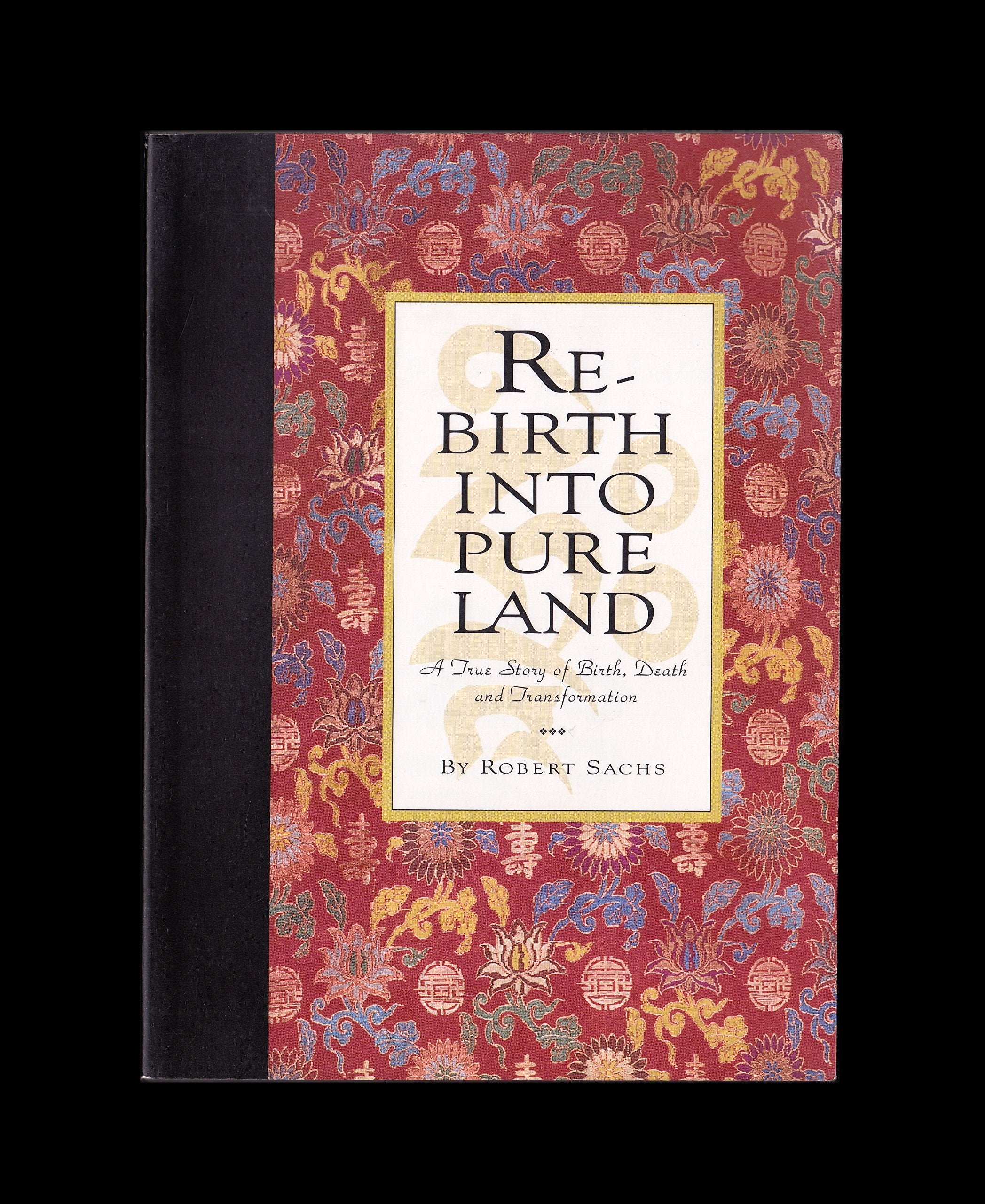 Rebirth Into Pure Land: A True Story of Birth, Death, and Transformation Books