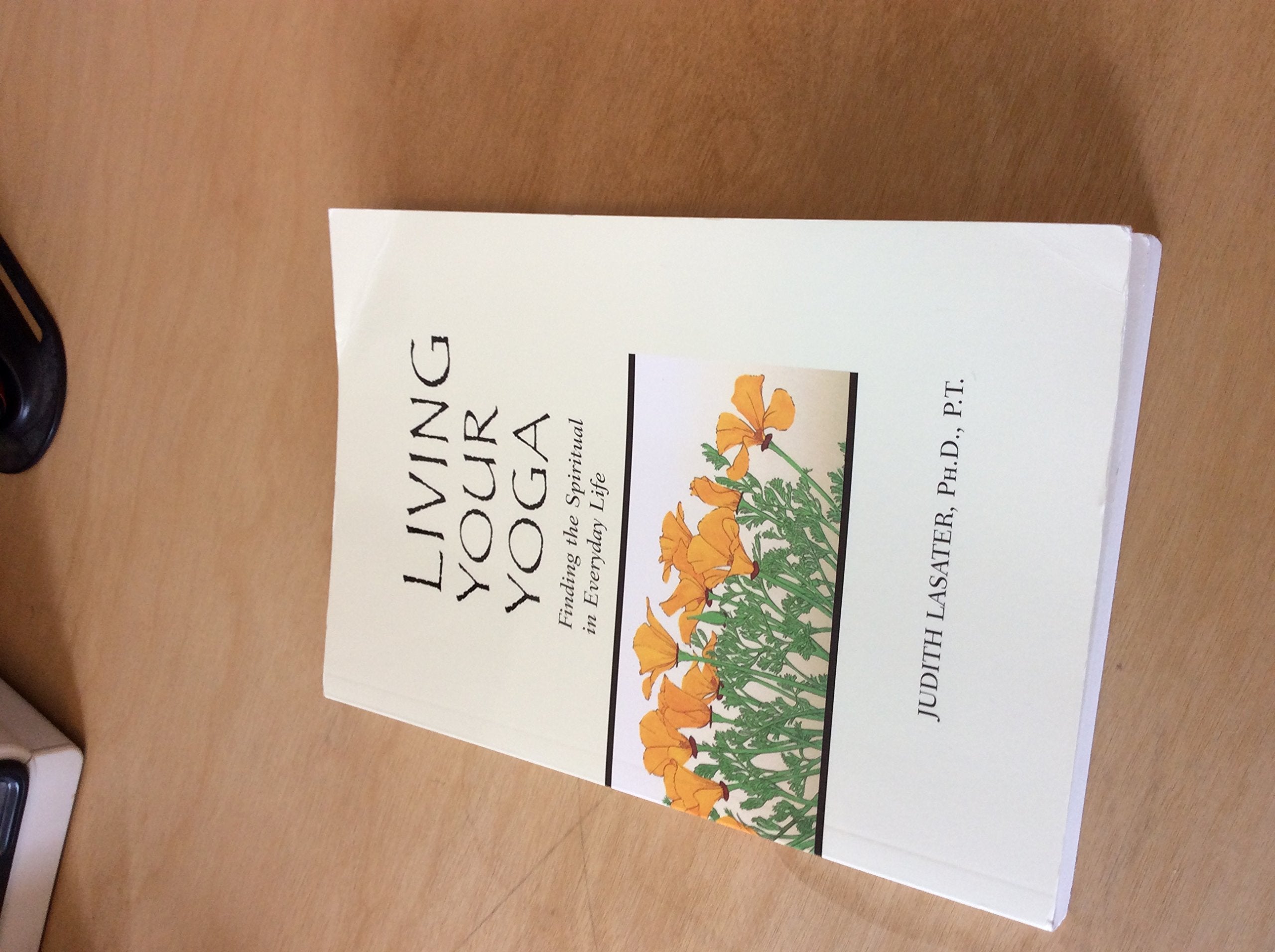 Living Your Yoga: Finding the Spiritual in Everyday Life Health, Nutrition & Fitness