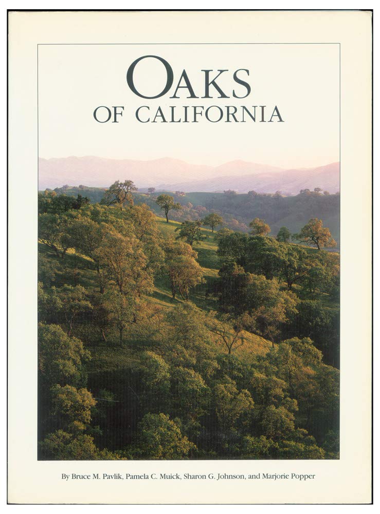 Oaks of California Mathematics