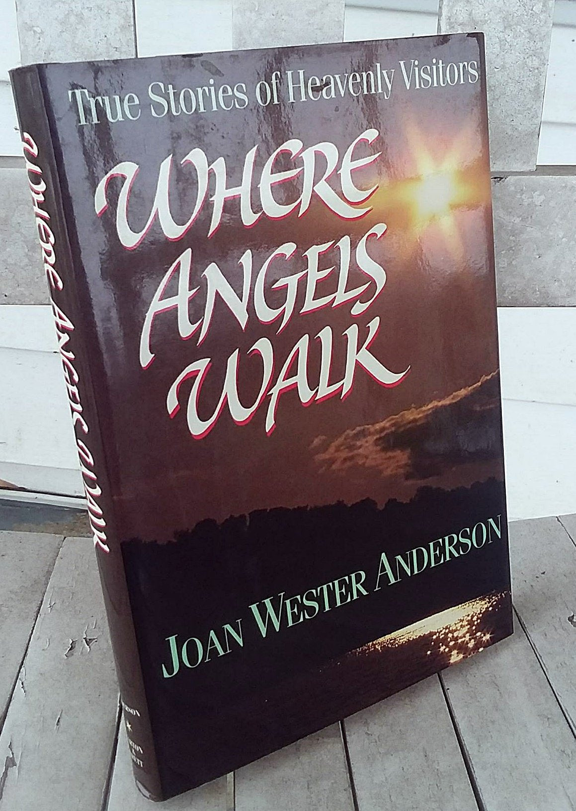 Where Angels Walk: True Stories of Heavenly Visitors Religion & Esotericism