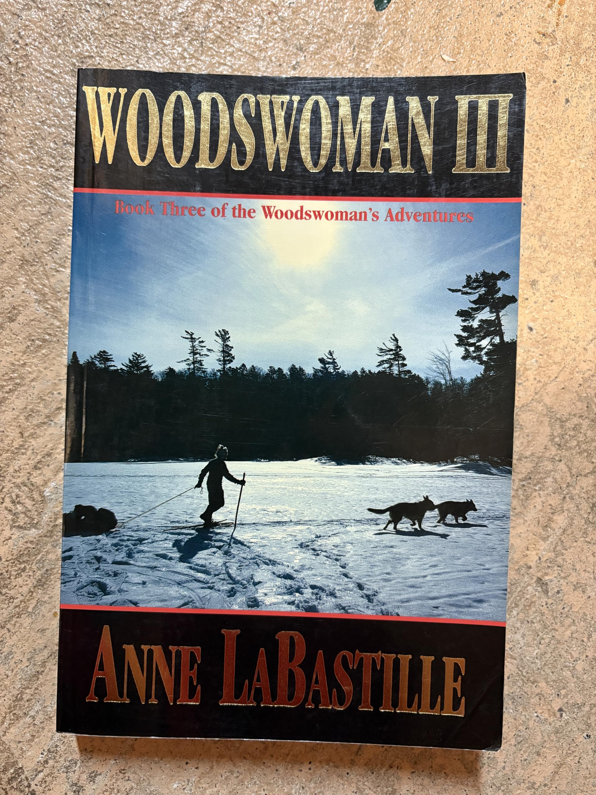Woodswoman III: Book Three of the Woodswoman's Adventures Inspiring women