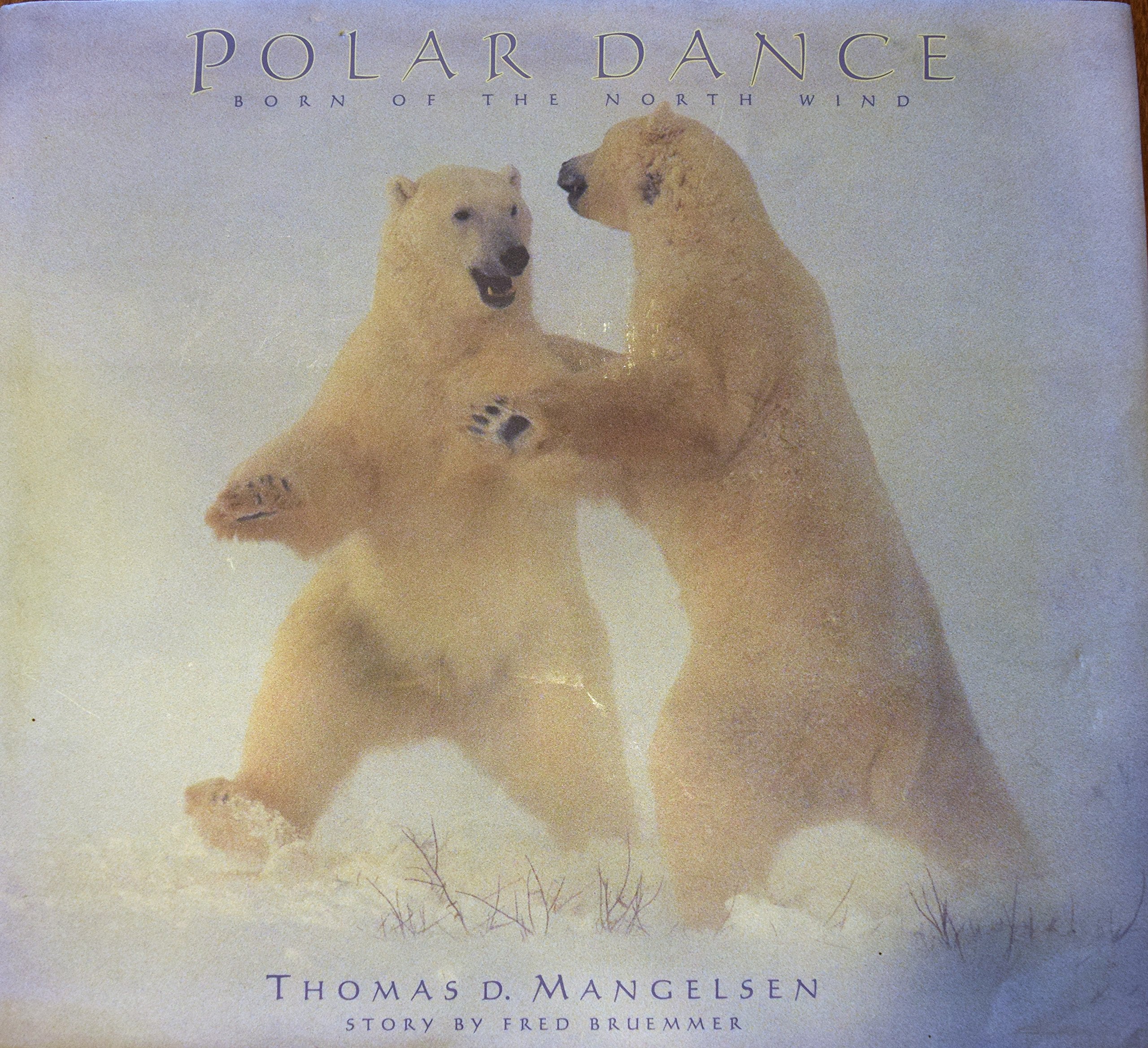Polar Dance: Born of the North Wind Mathematics
