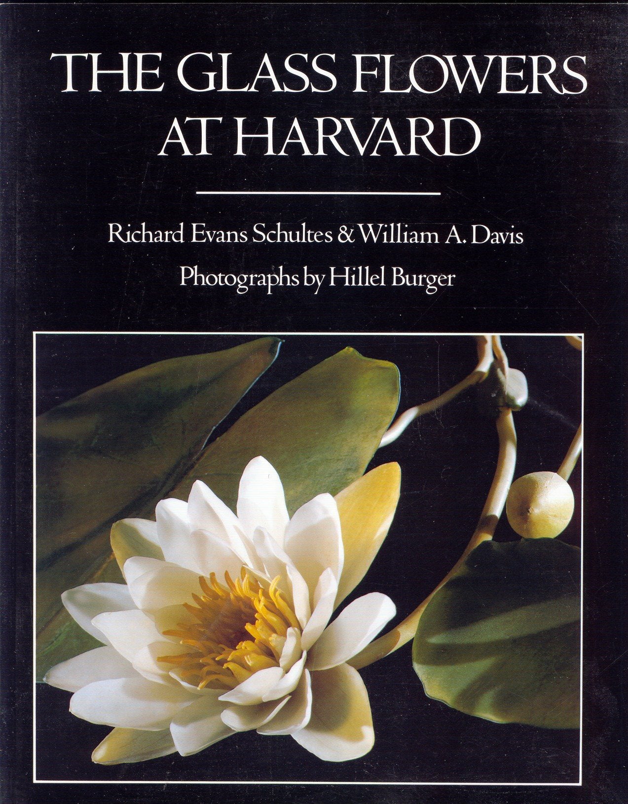 The Glass Flowers at Harvard Business & Technology