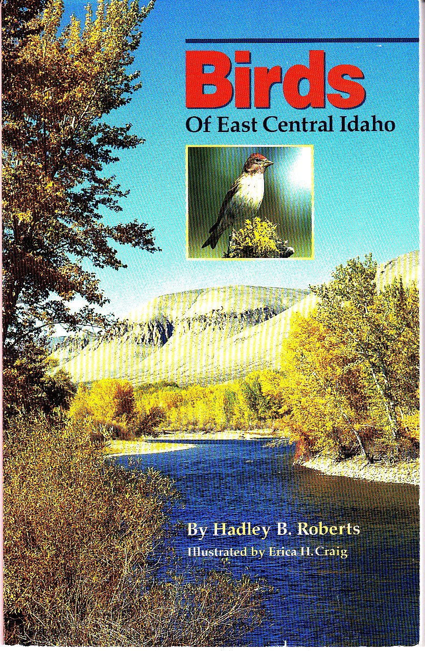 Birds of East Central Idaho Paperback Books