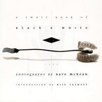 Small Book of Black & White Lies book