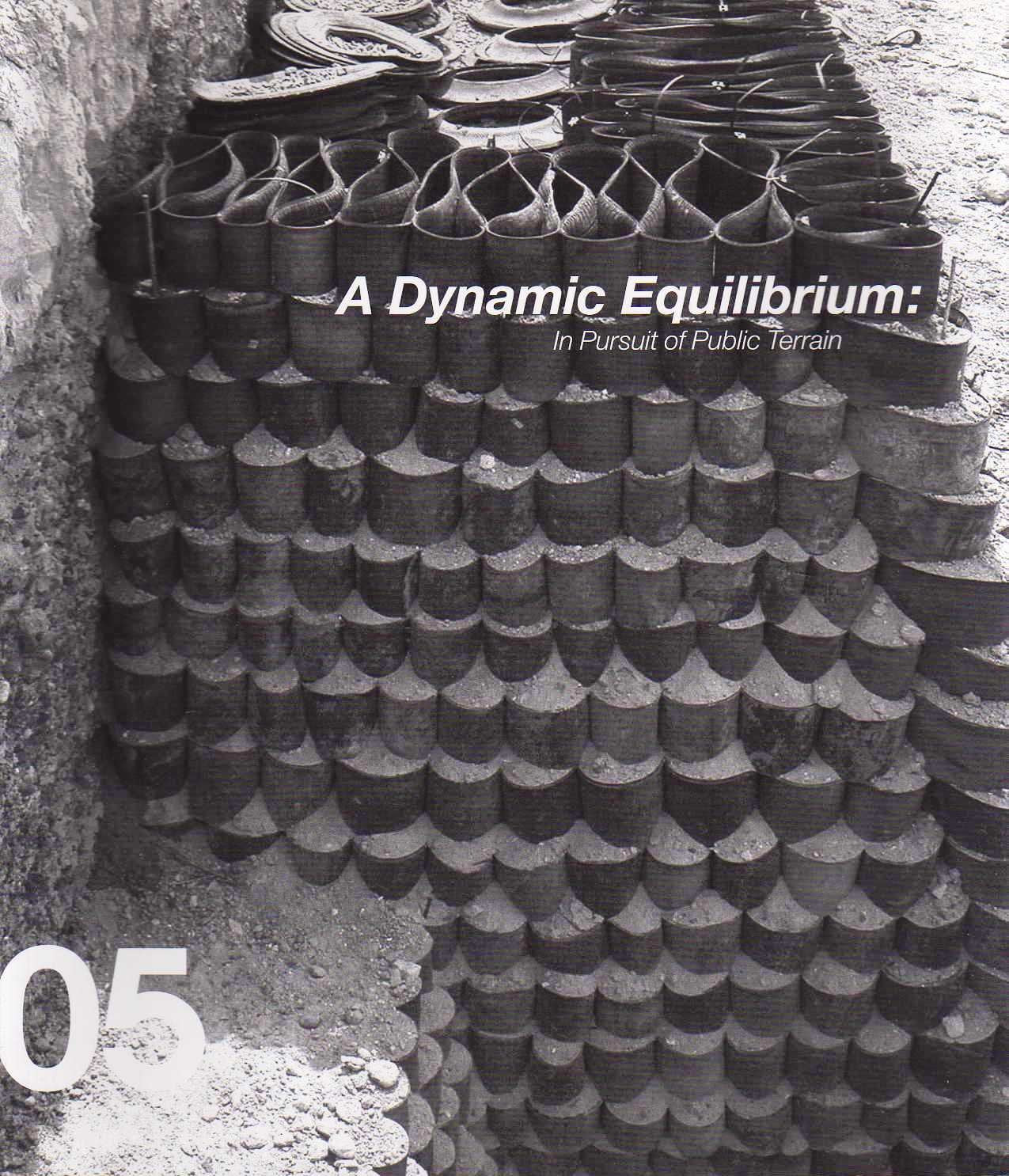 A Dynamic Equilibrium: In Pursuit of Public Terrain Books
