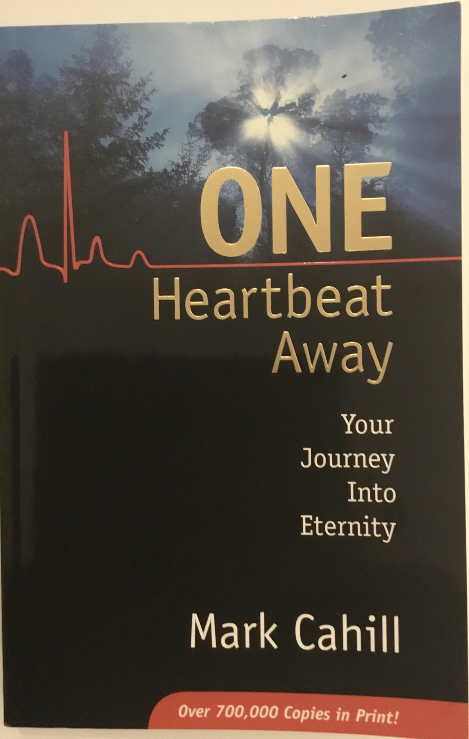 One Heartbeat Away: Your Journey Into Eternity Social Sciences