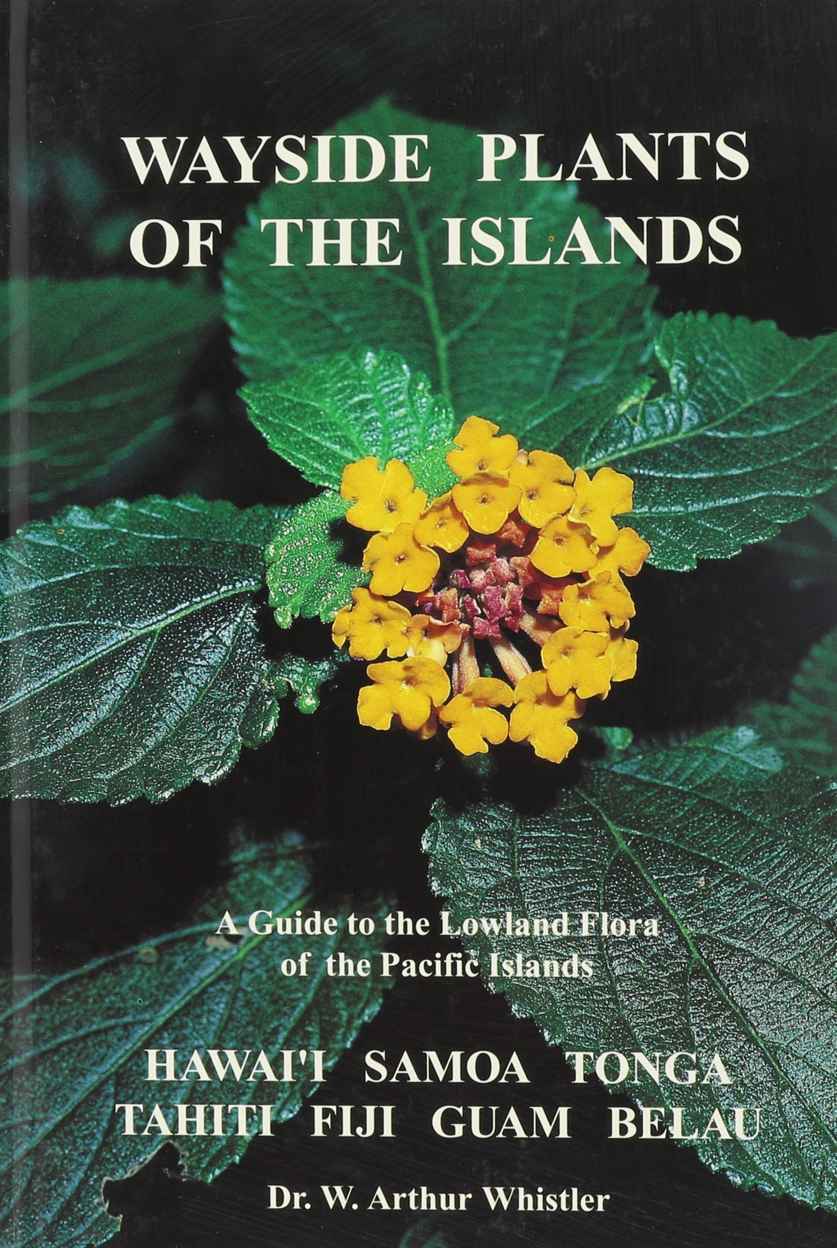 Wayside Plants of the Islands Mathematics