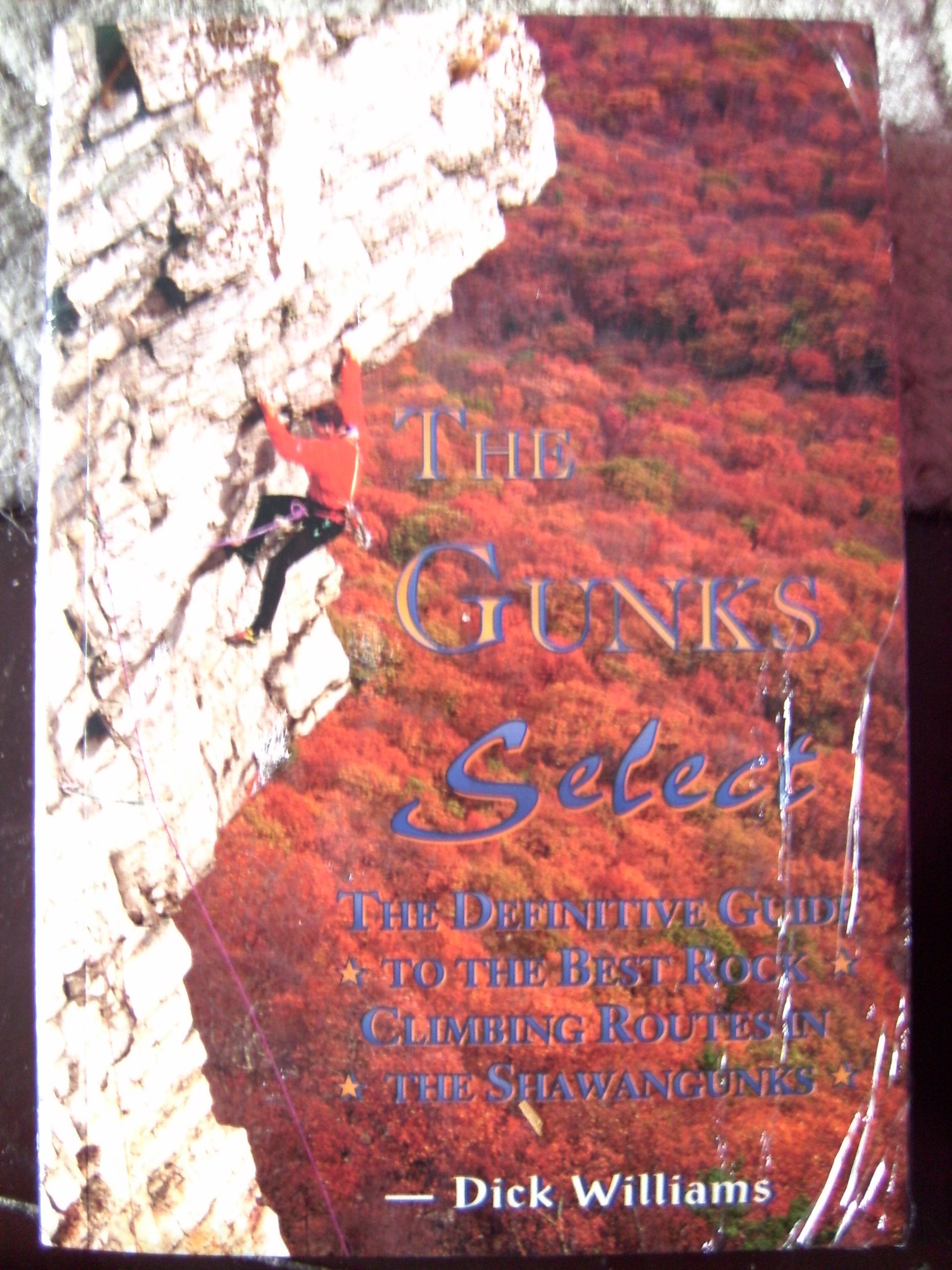 The Gunks Select (The Definitive Guide to the Best Rock Climbing Routes in th... book