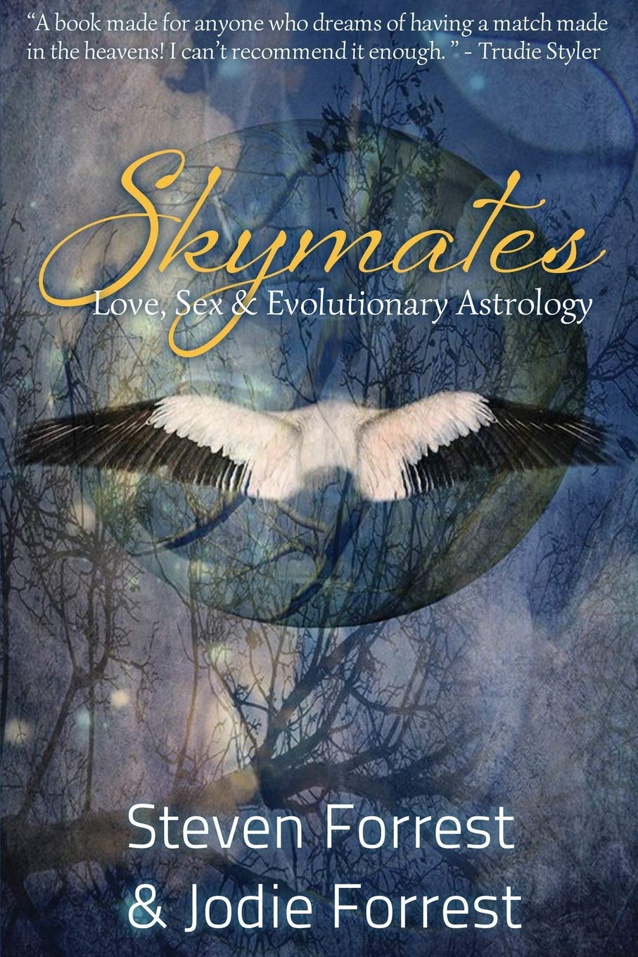 Skymates: Love, Sex and Evolutionary Astrology Partnership & Love
