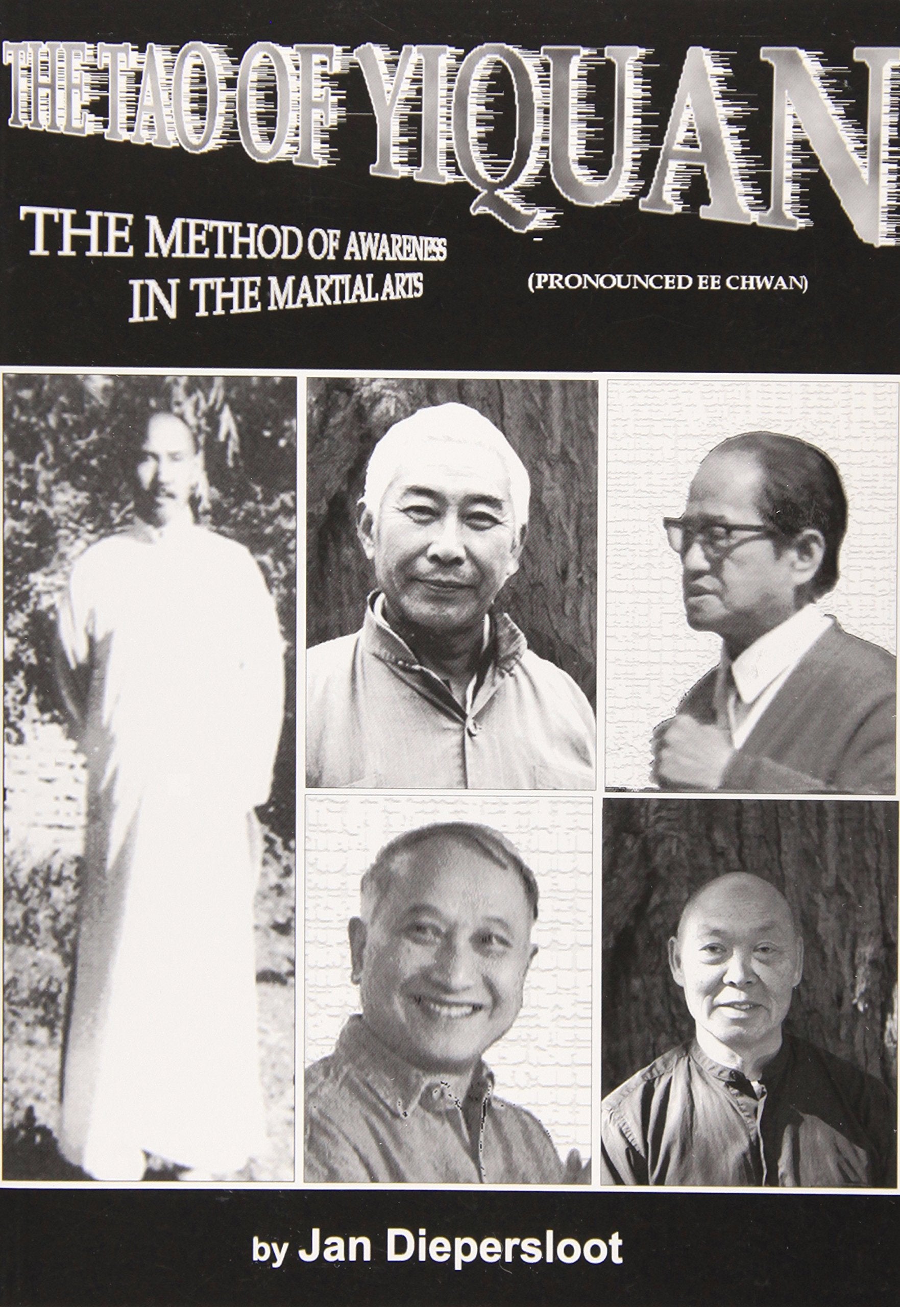 The Tao of Yiquan: The Method of Awareness in the Martial Arts (Warriors of Stillness : Meditative Traditions in the Chinese Martial Arts, Volume 2) Lifestyle