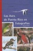 Las Aves de Puerto Rico en Fotografias book