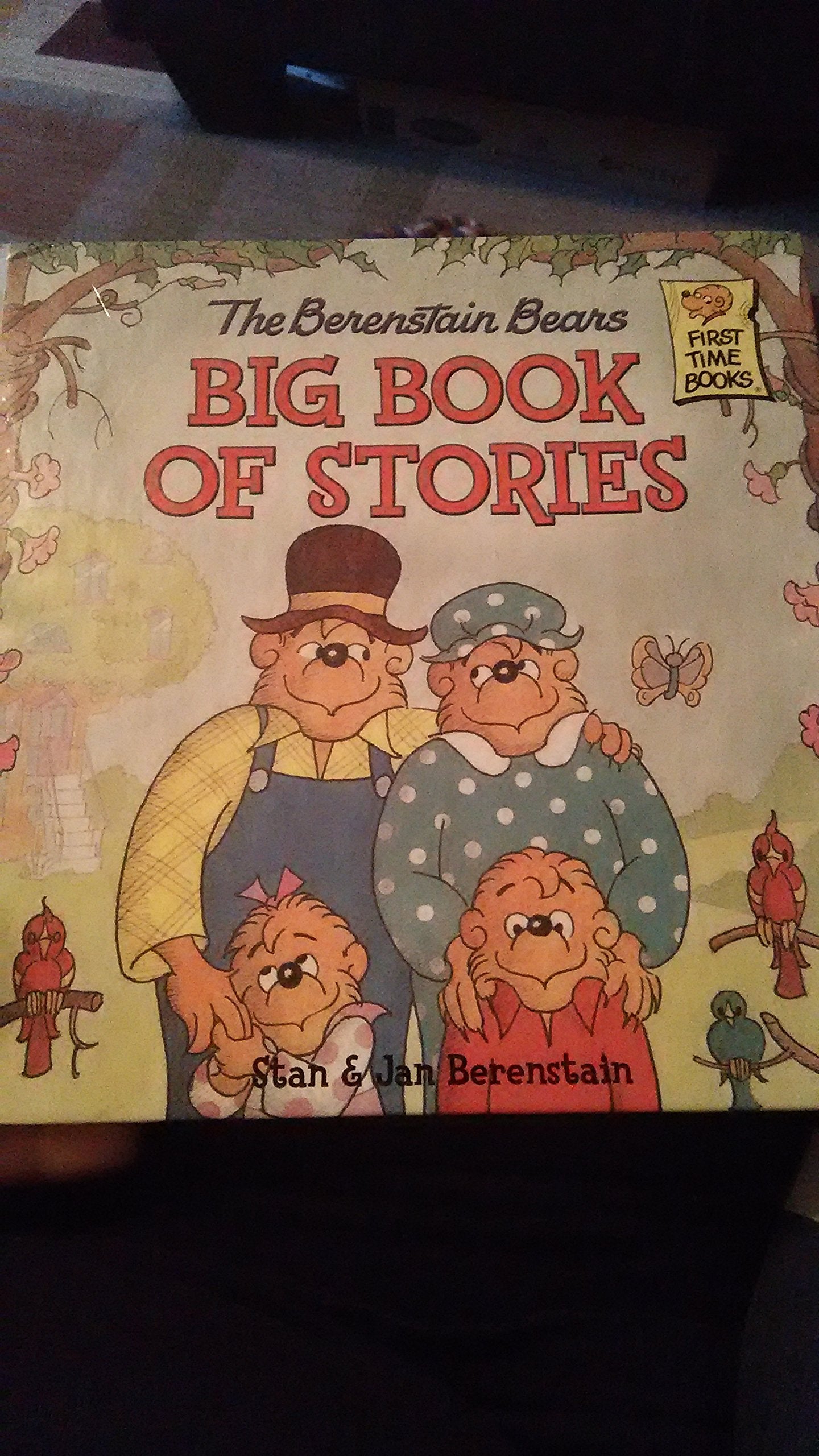 The Berenstain Bears Big Book of Stories (First Ti Books