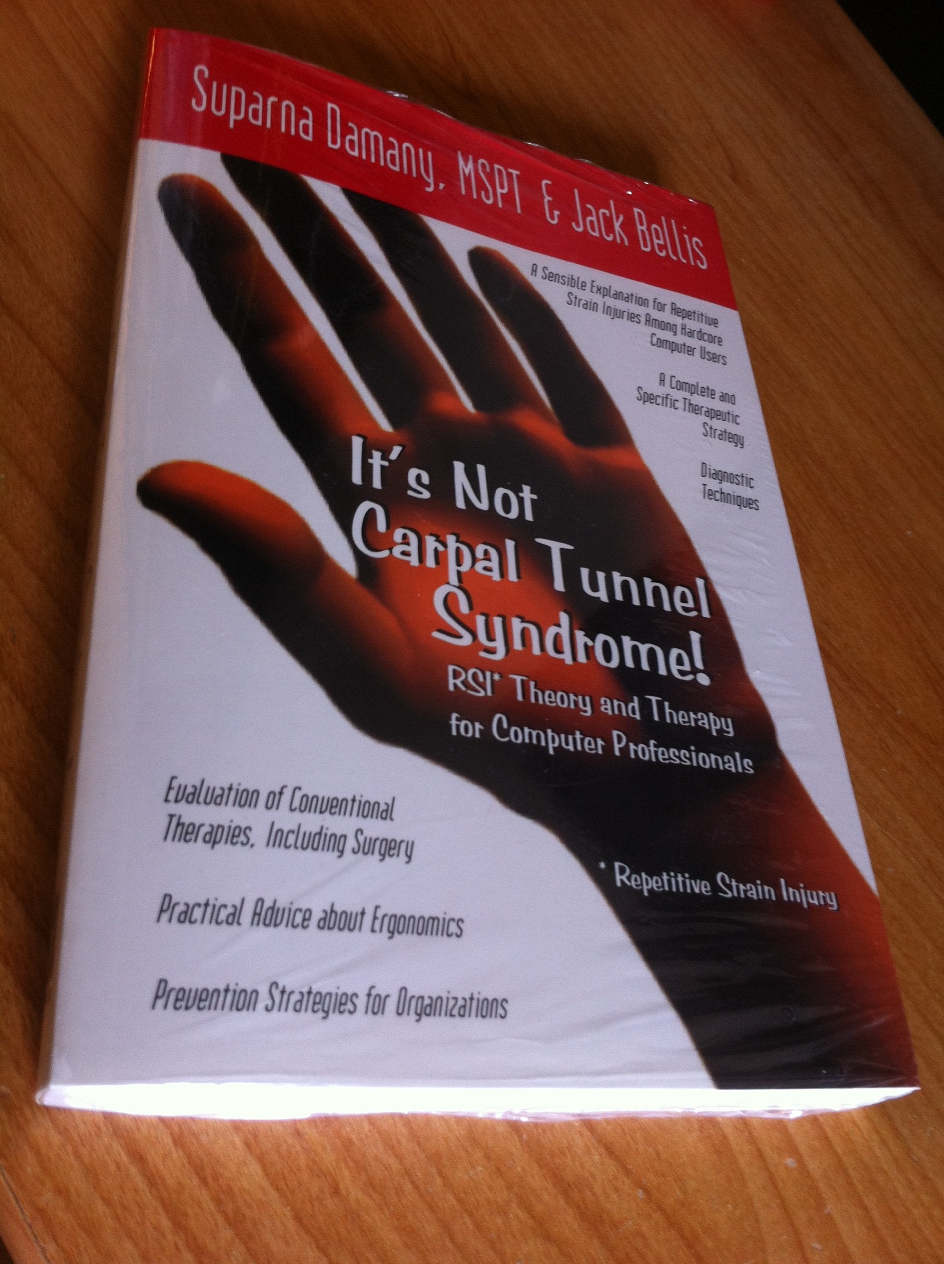 It's Not Carpal Tunnel Syndrome!: RSI Theory and Therapy for Computer Professionals Business, Finance & Career
