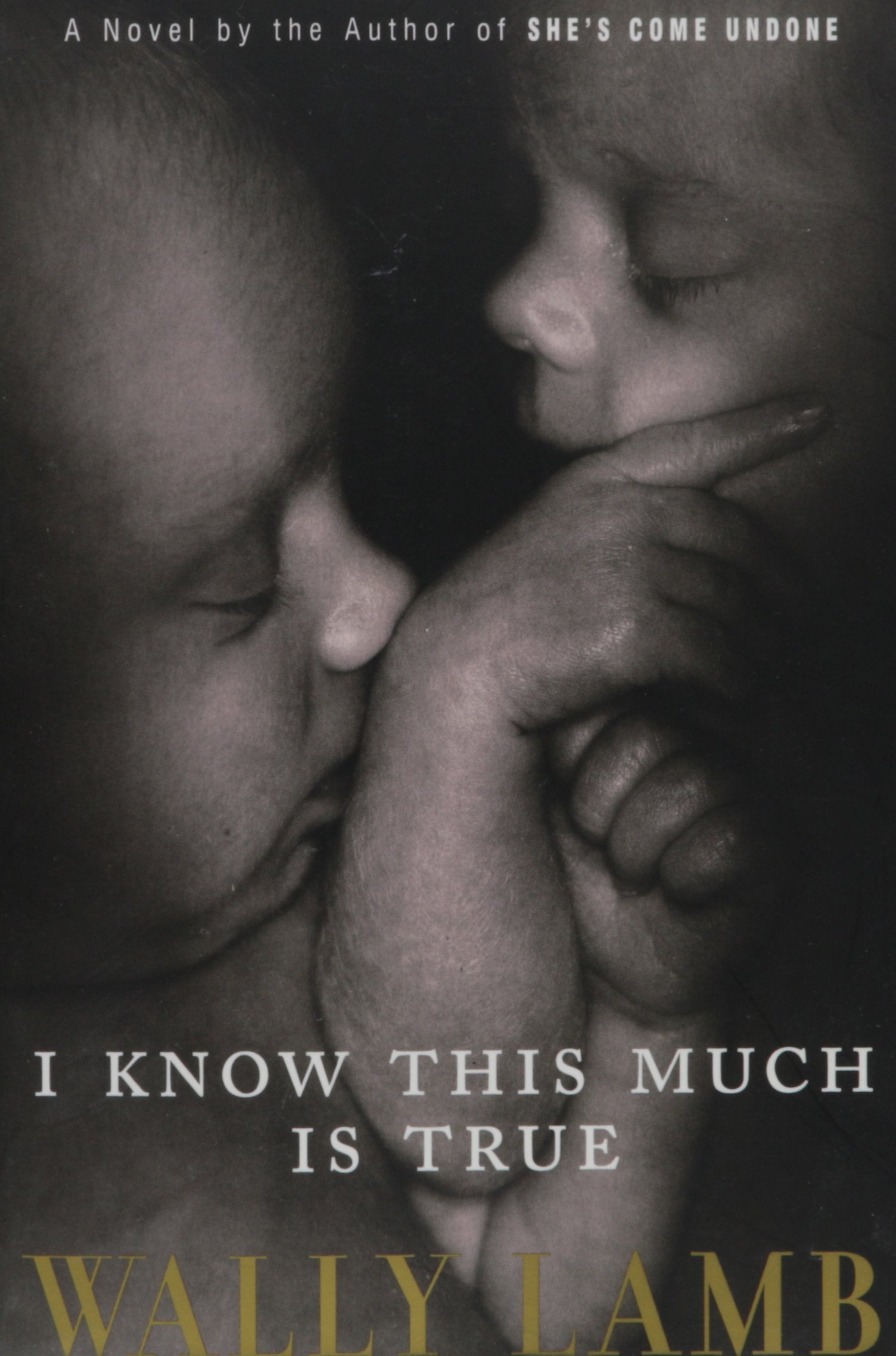 I Know This Much Is True (Oprah's Book Club) Books