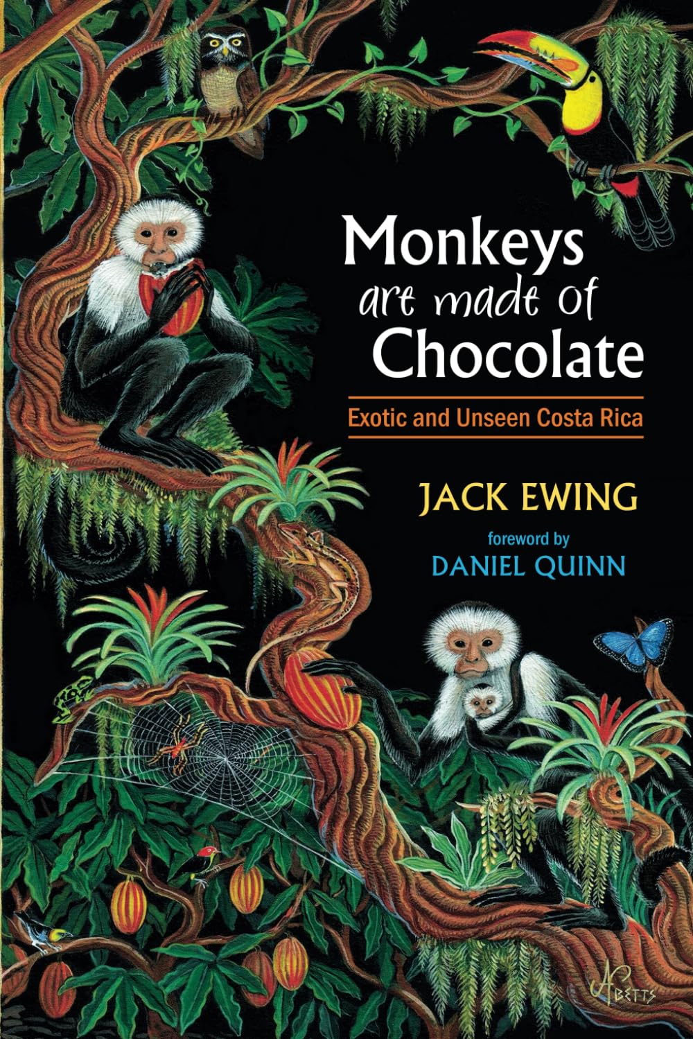 Monkeys Are Made of Chocolate: Exotic and Unseen Costa Rica Mathematics