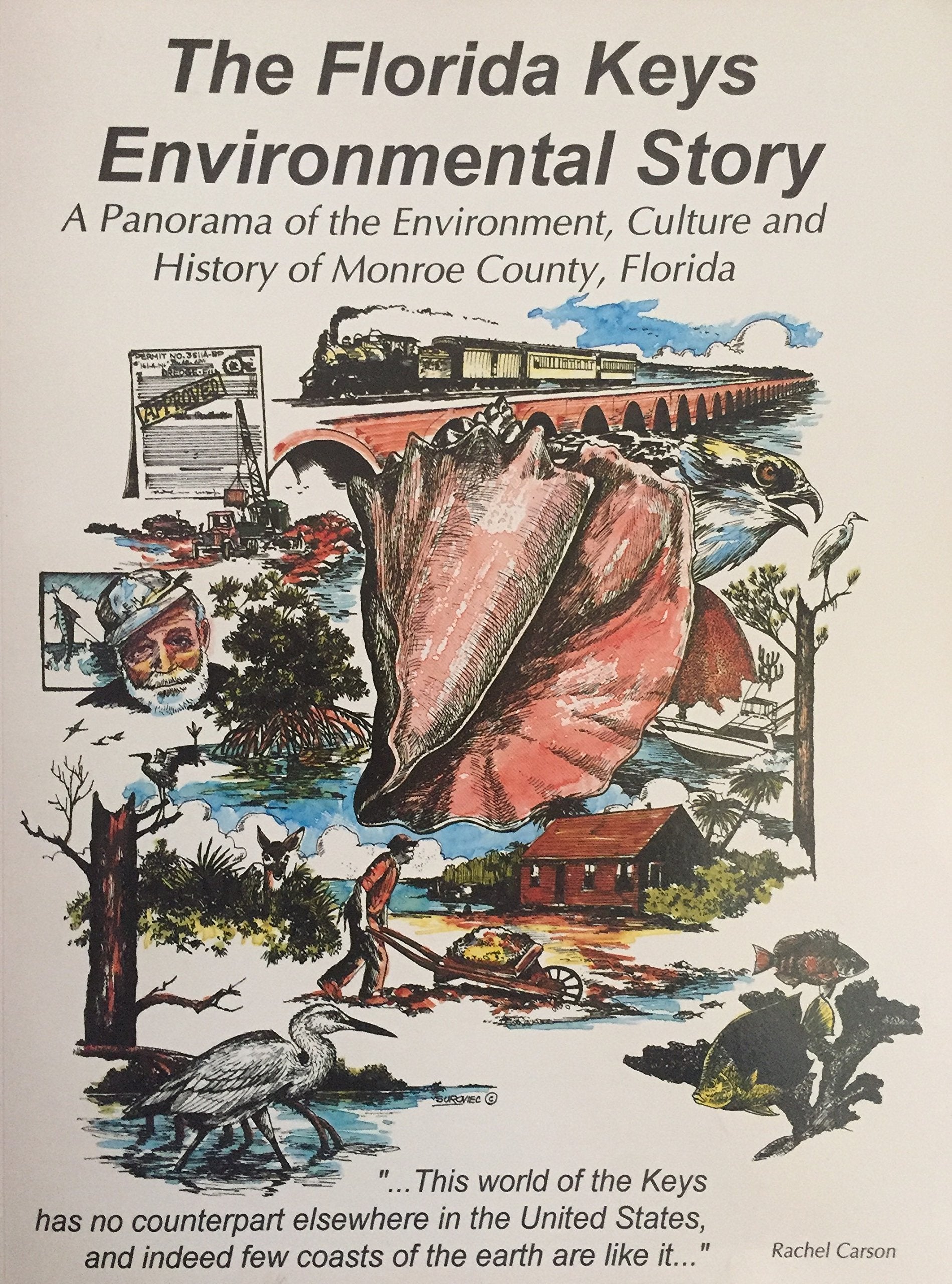 Florida Keys Environmental Story: A Panorama of the Environment, Culture and History of Monroe County, Florida Books