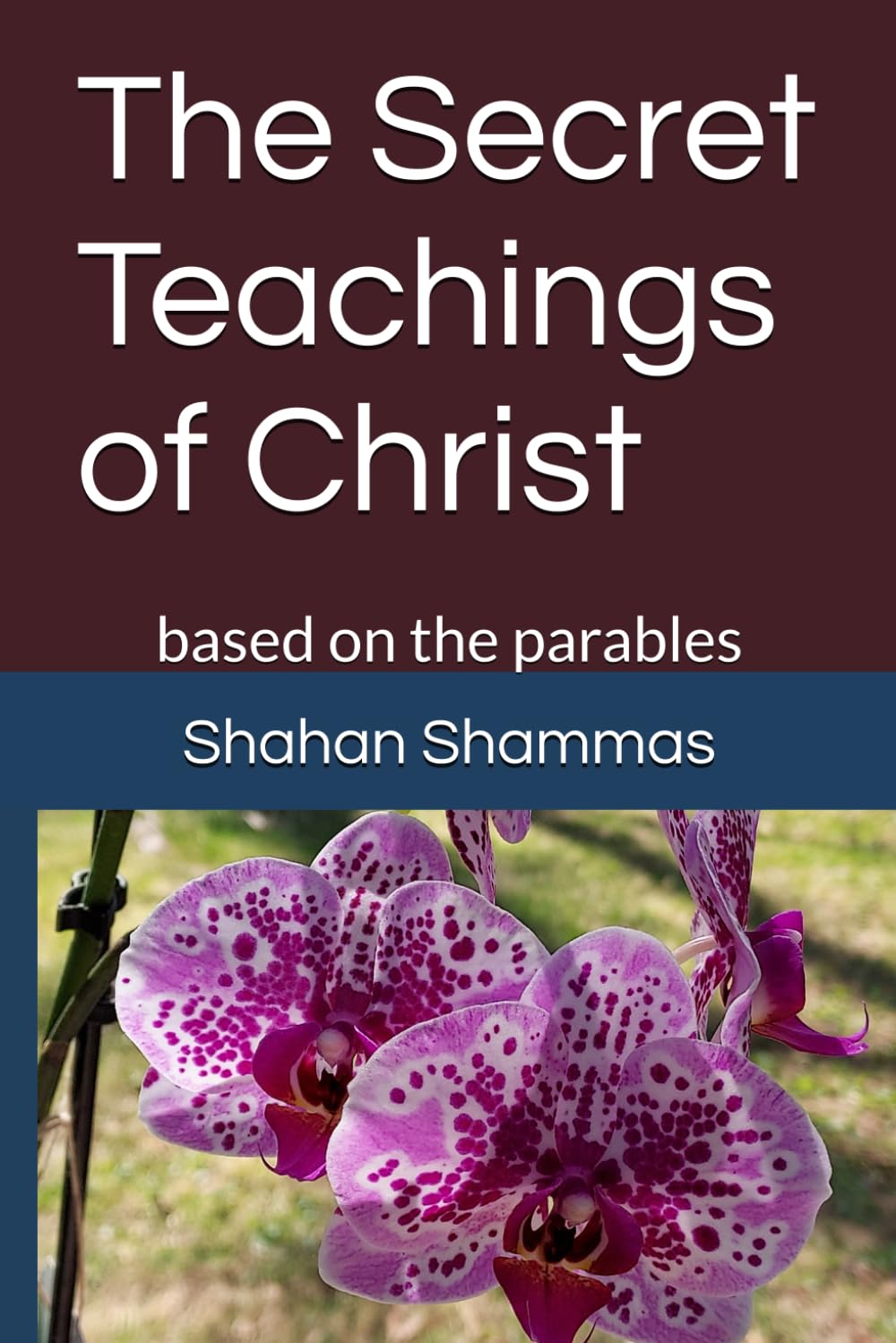 The Secret Teachings of Christ: based on the parables Books